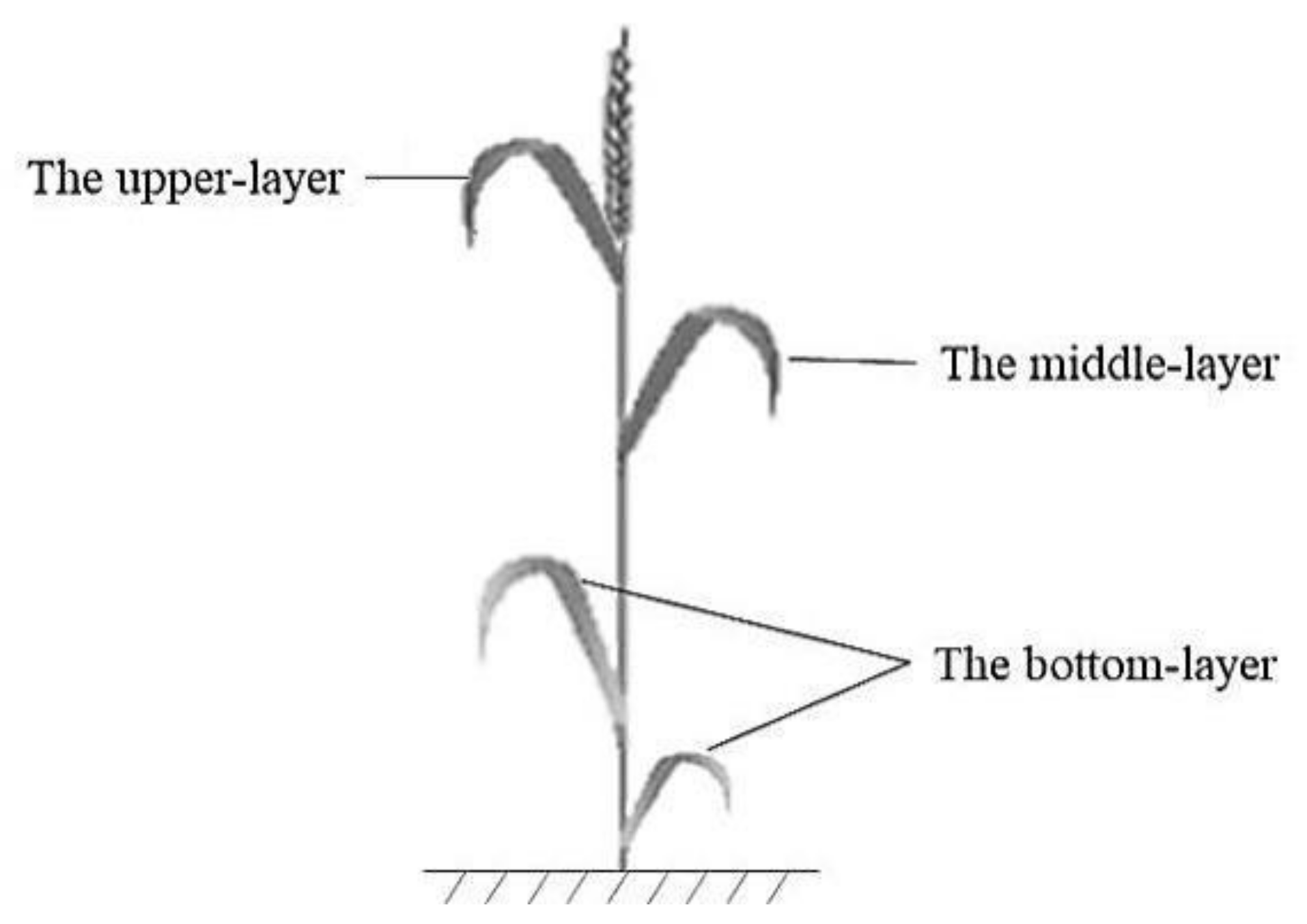 Remotesensing 13 04125 g002