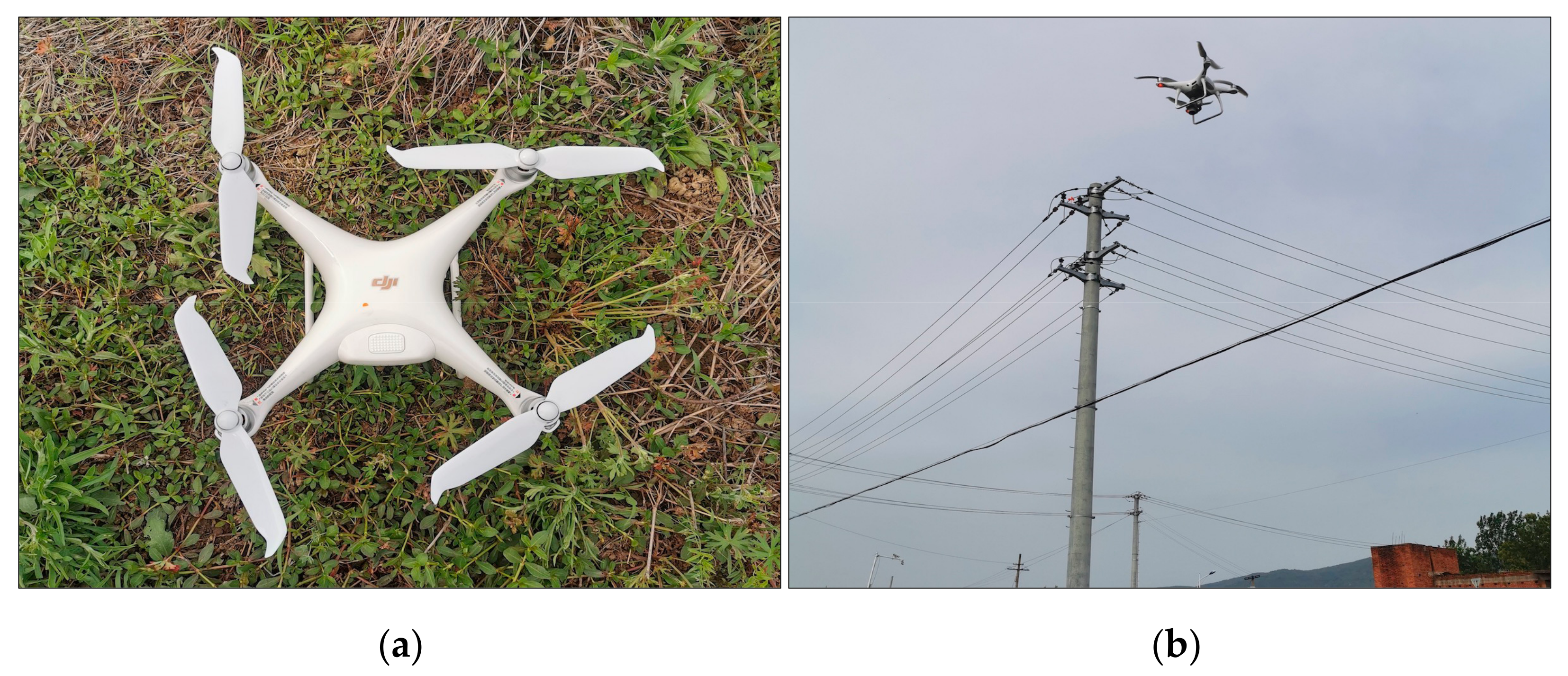 Remotesensing 13 04134 g001