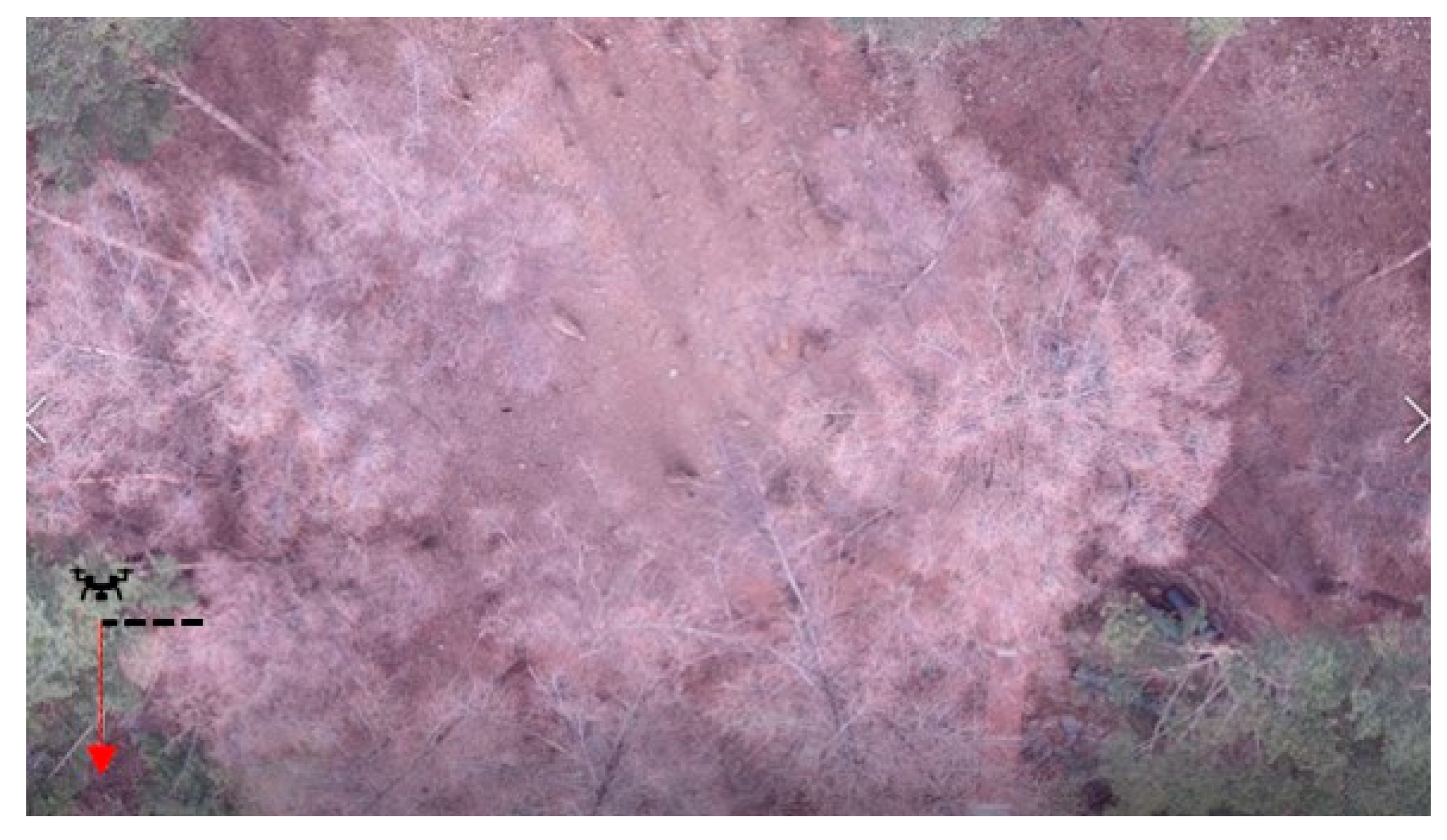 Remotesensing 13 04141 g004