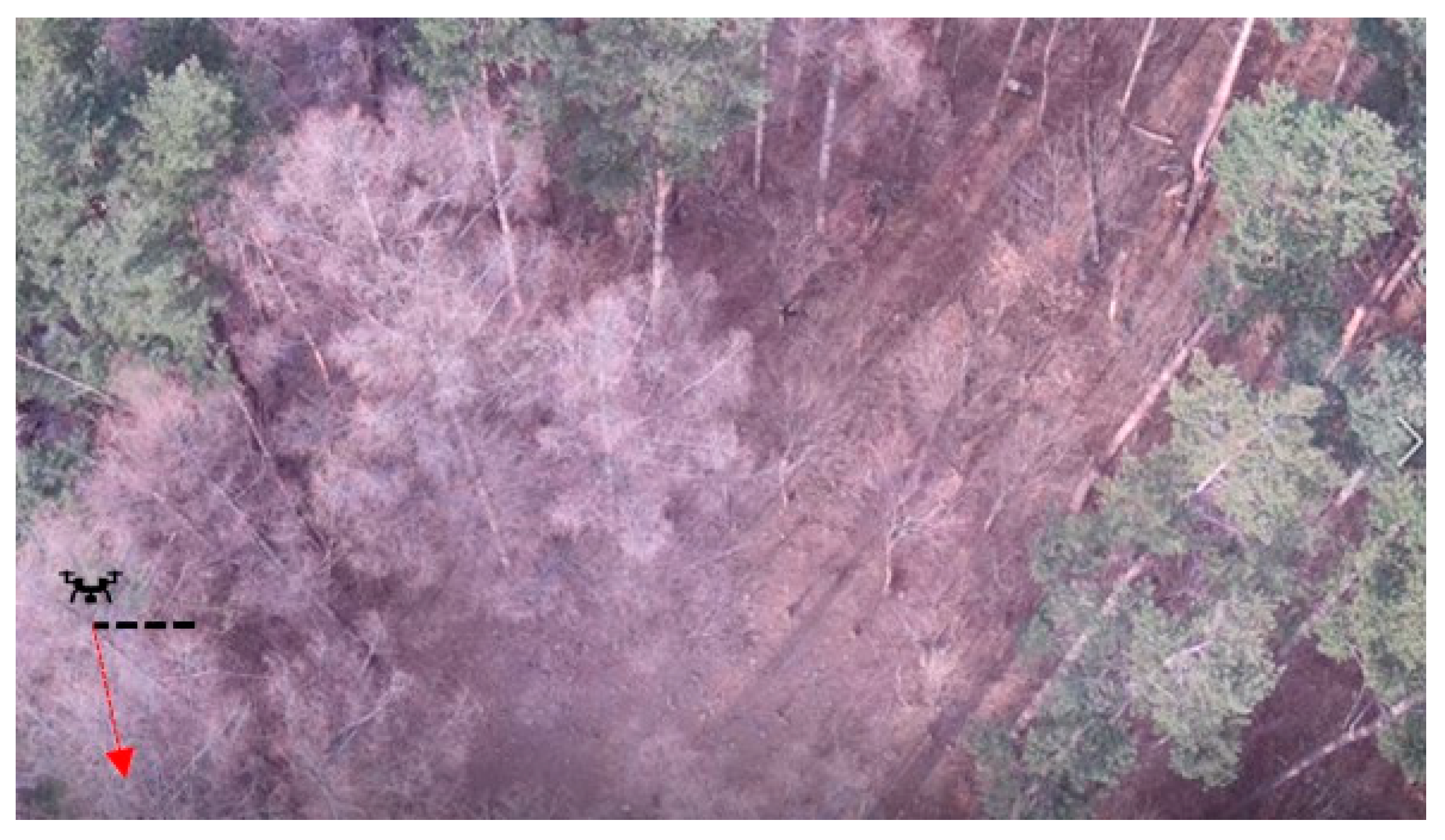 Remotesensing 13 04141 g005