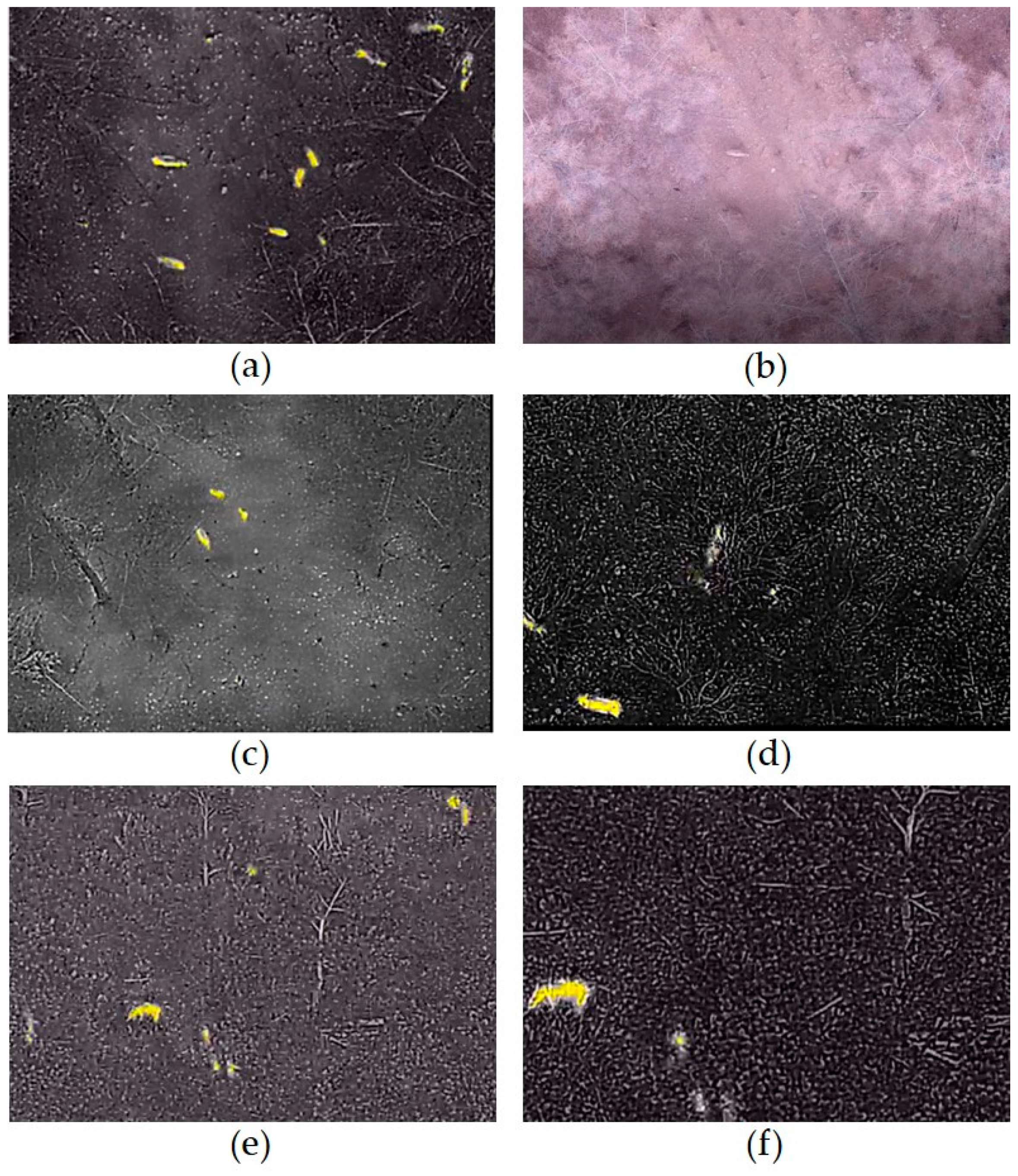Remotesensing 13 04141 g010