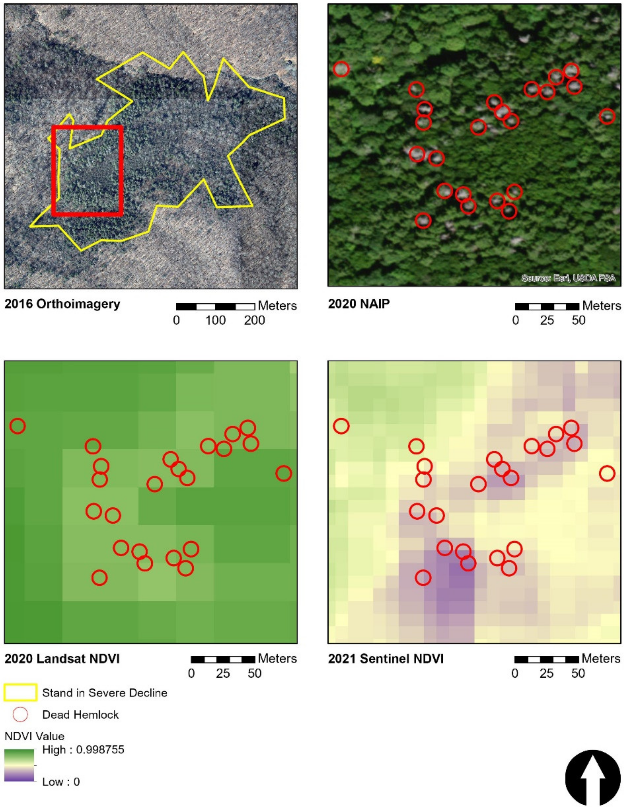 Remotesensing 13 04142 g002