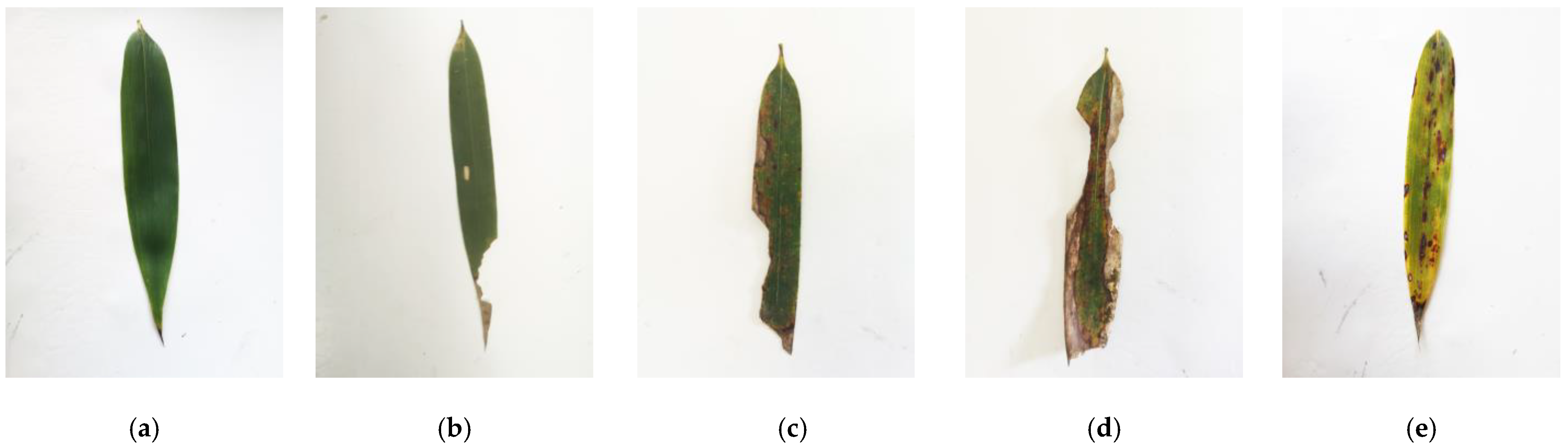 Remotesensing 13 04146 g002