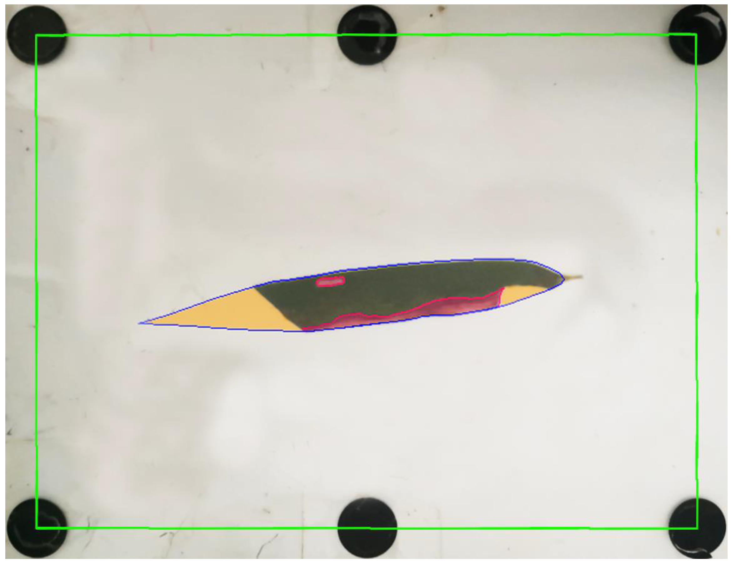 Remotesensing 13 04146 g003