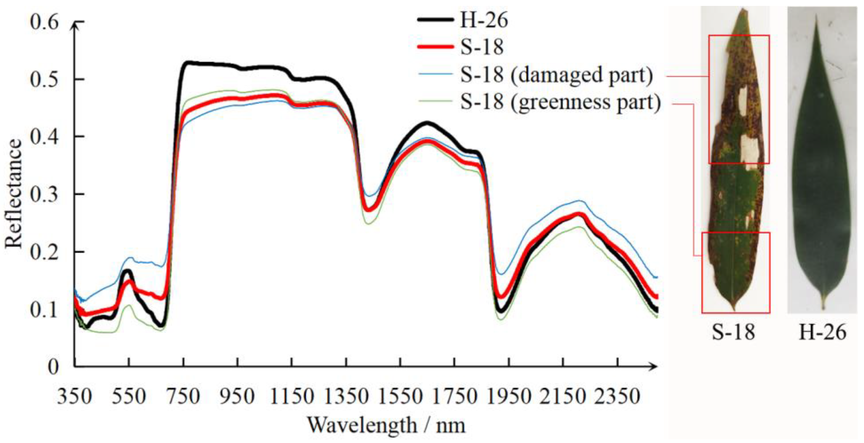 Remotesensing 13 04146 g008