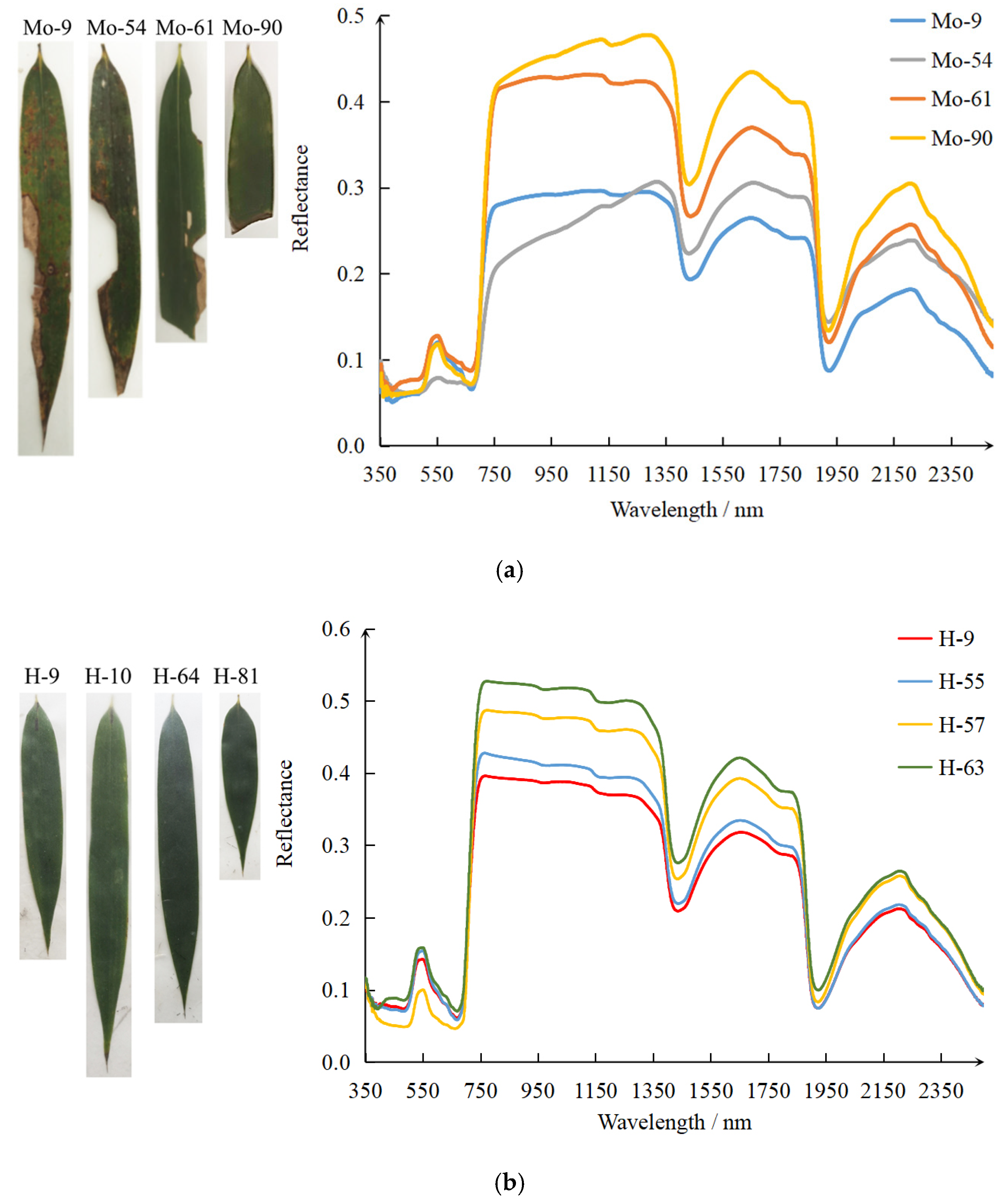 Remotesensing 13 04146 g009