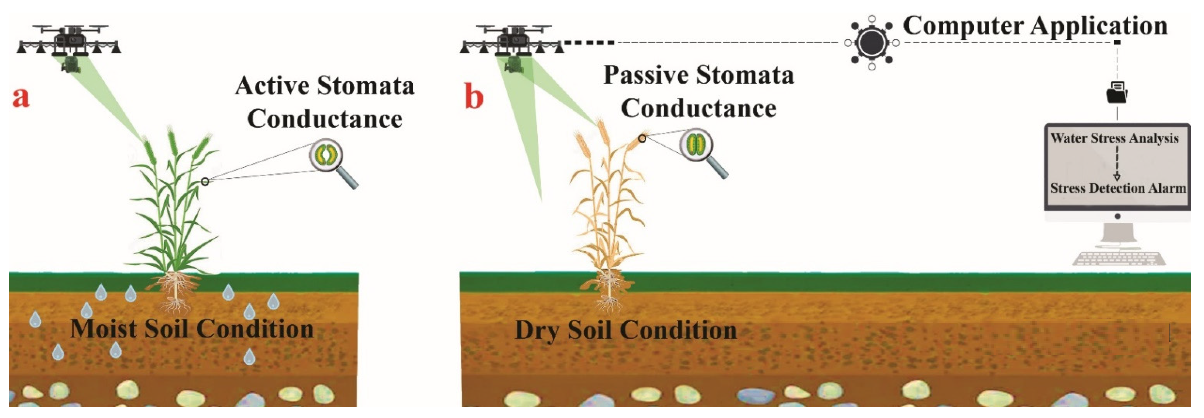 Remotesensing 13 04155 g002