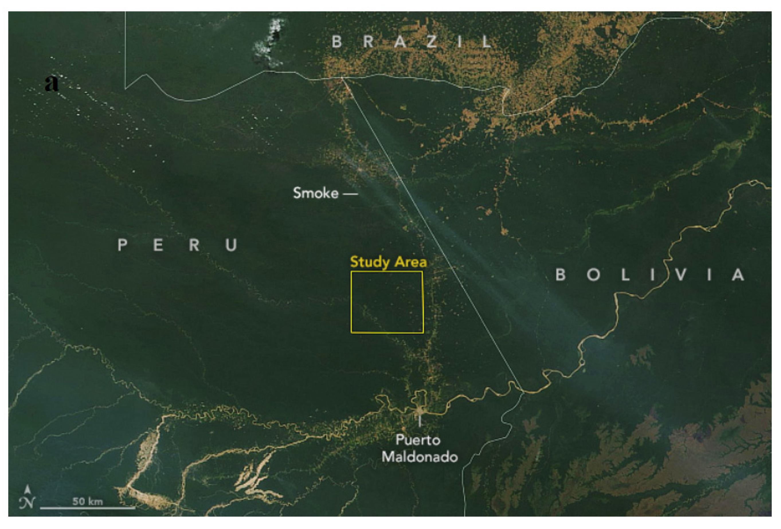 Remotesensing 13 04155 g004a