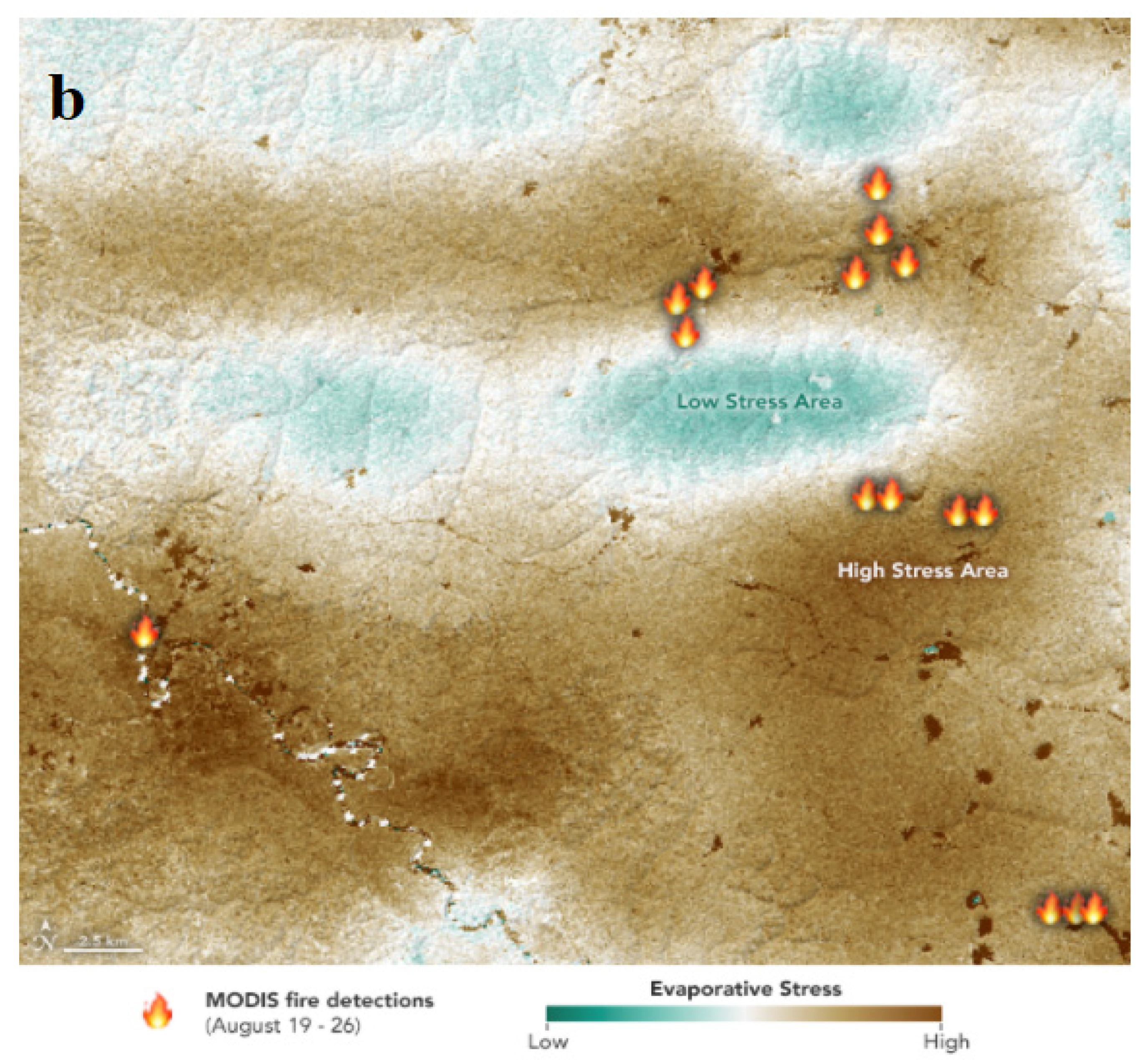 Remotesensing 13 04155 g004b