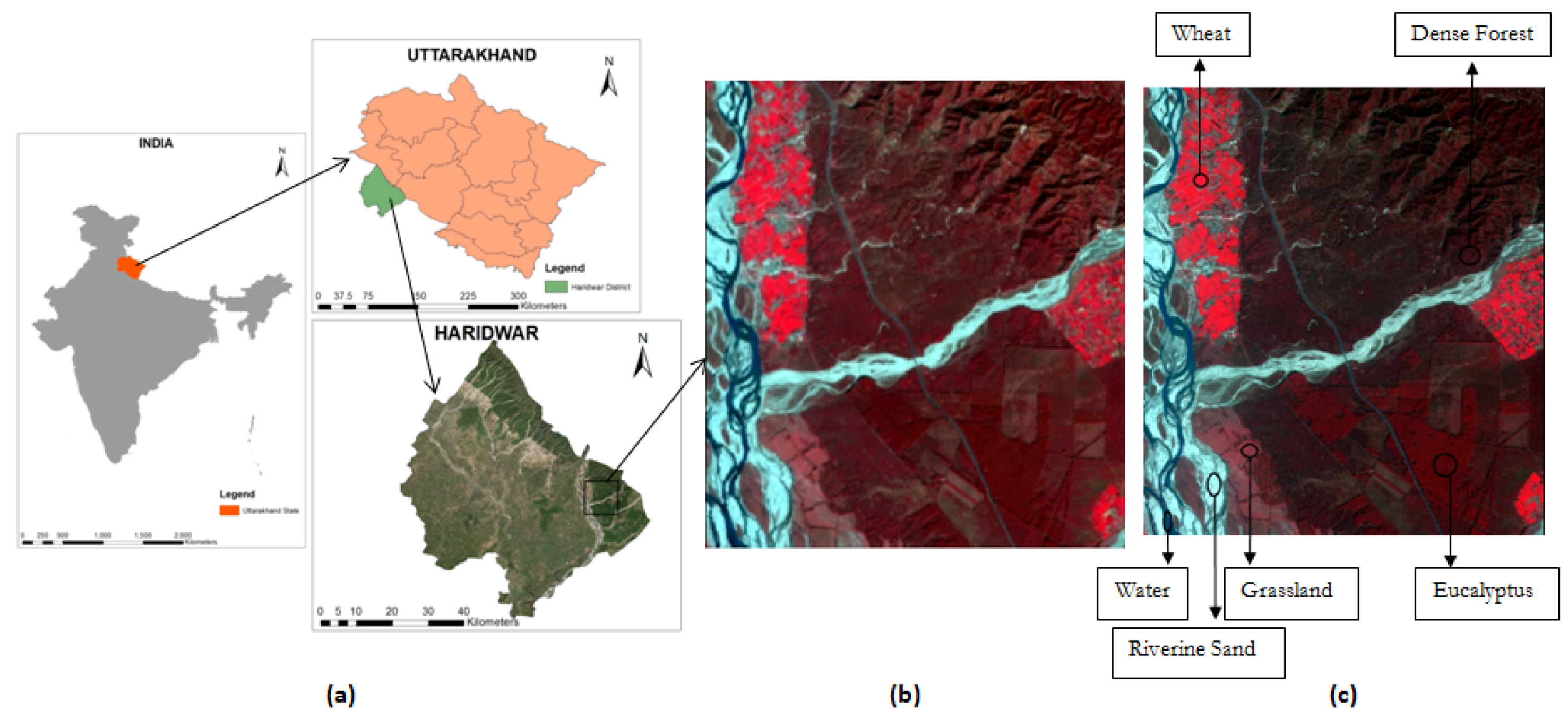 Remotesensing 13 04163 g001