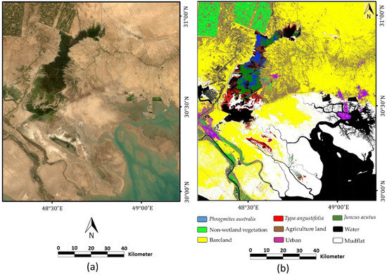 Remotesensing 13 04169 g0a3 550