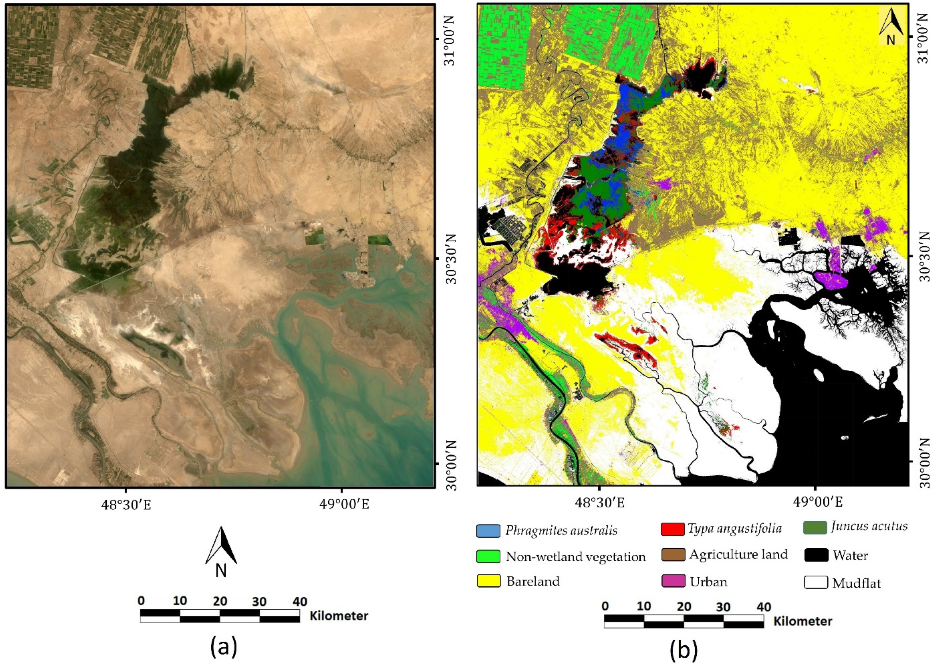 Remotesensing 13 04169 g0a3