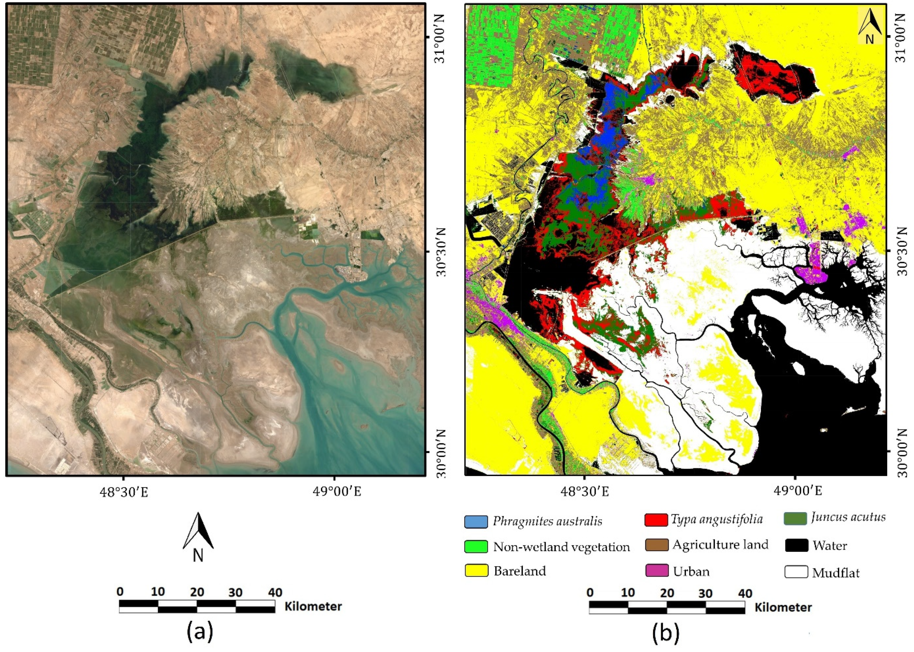 Remotesensing 13 04169 g0a4