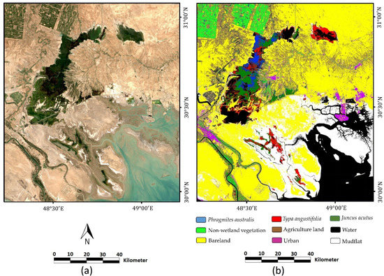 Remotesensing 13 04169 g0a5 550