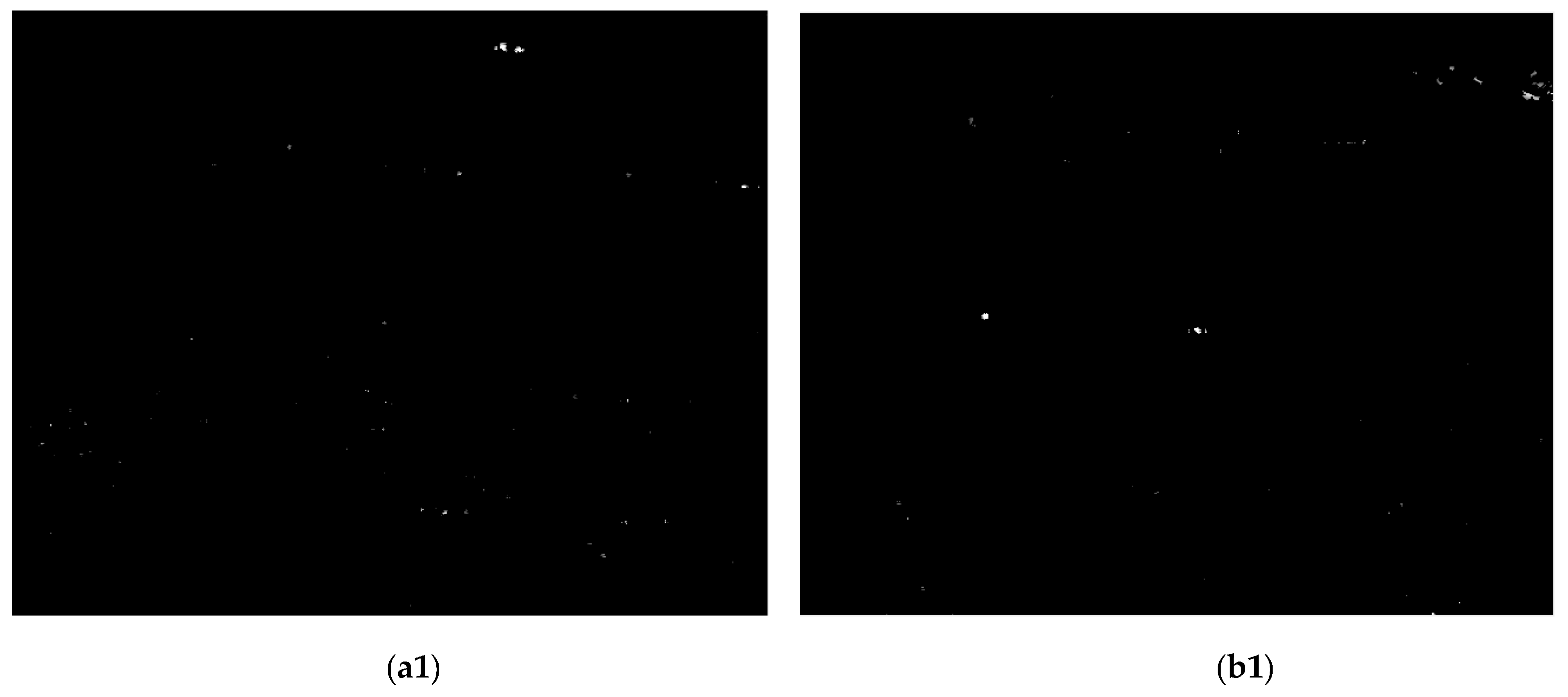 Remotesensing 13 04189 g008a Remotesensing 13 04189 g008a