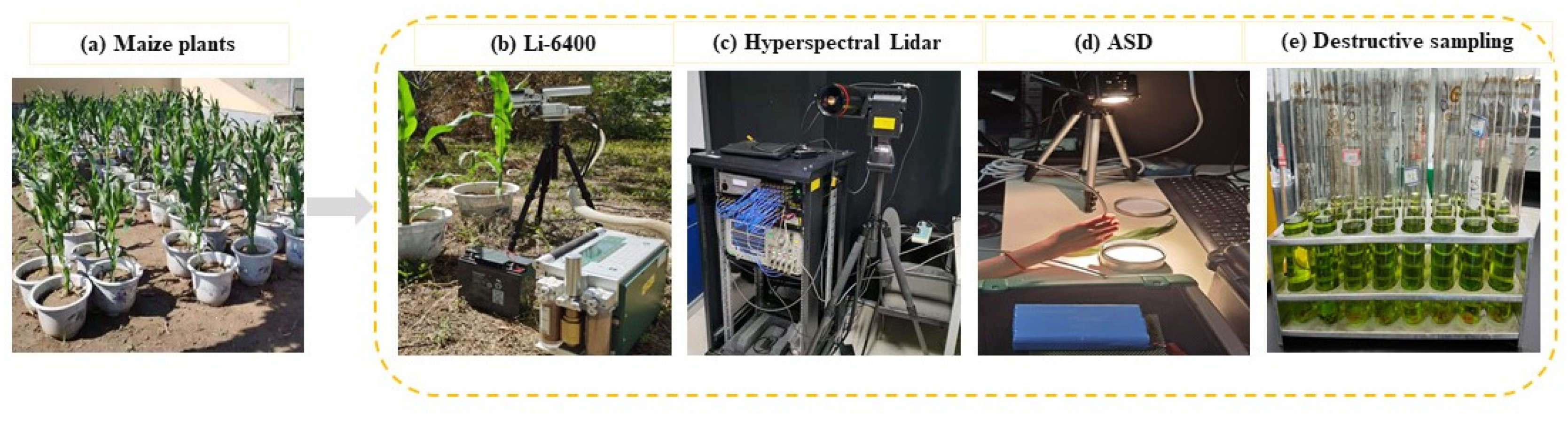 Remotesensing 13 04203 g001