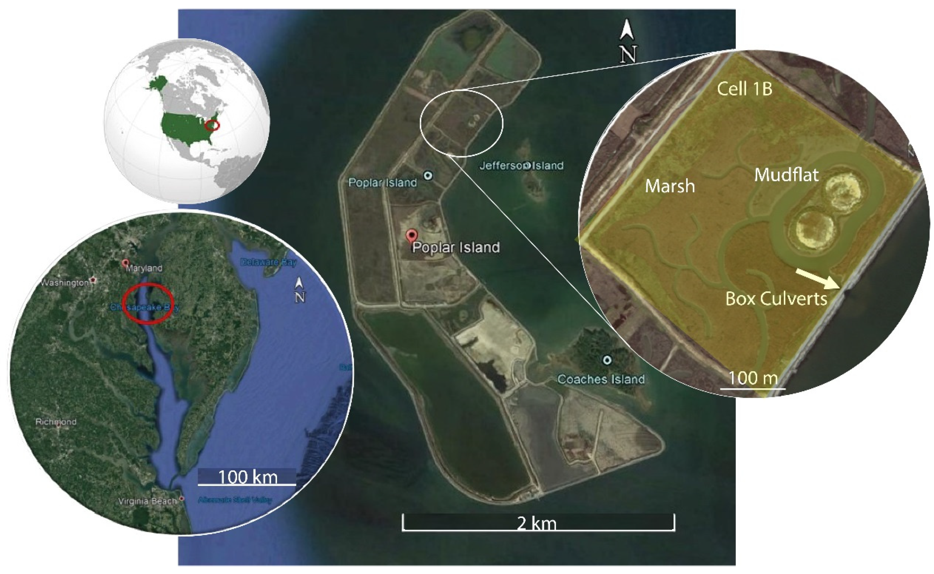 Remotesensing 13 04207 g001