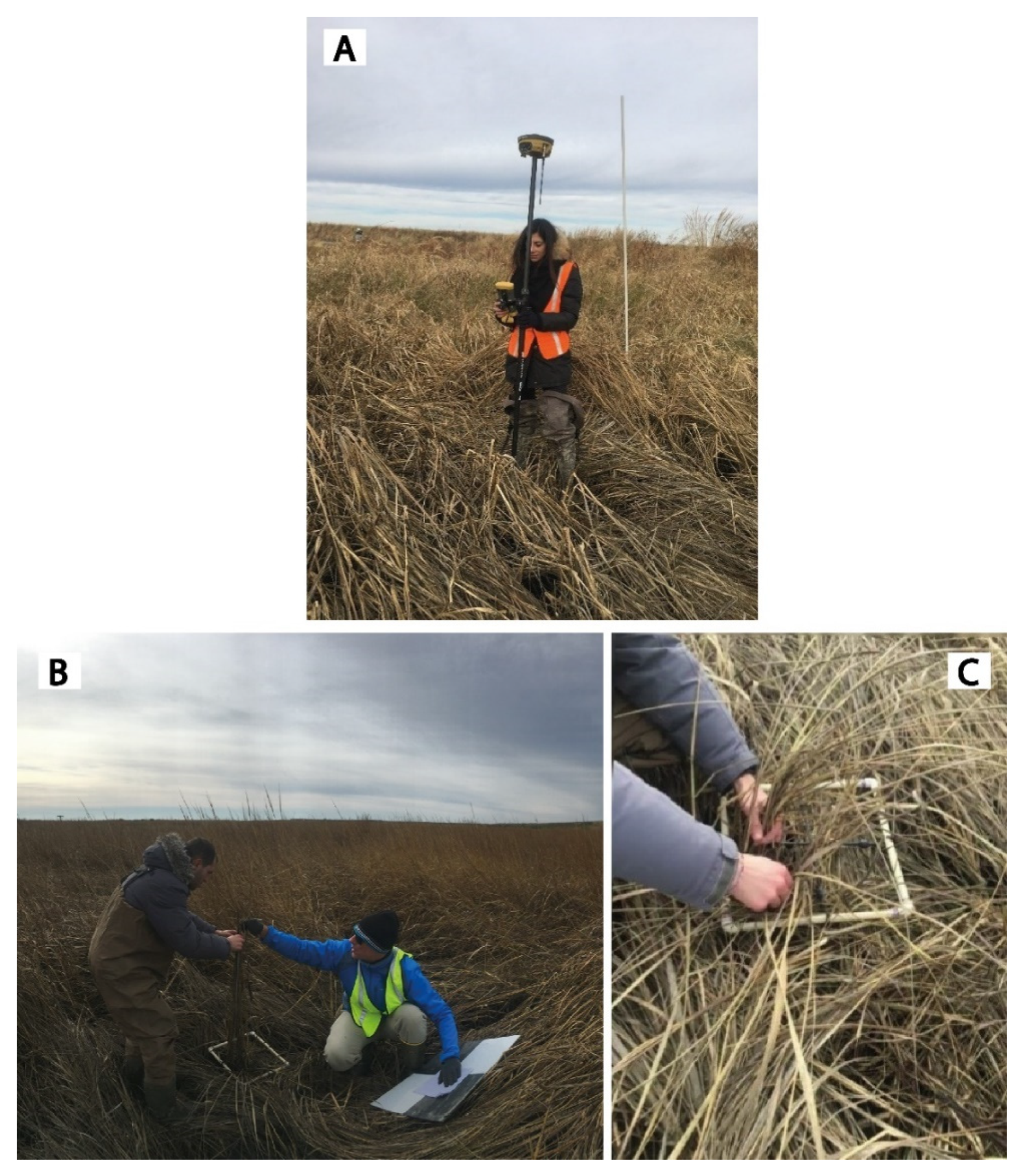 Remotesensing 13 04207 g002