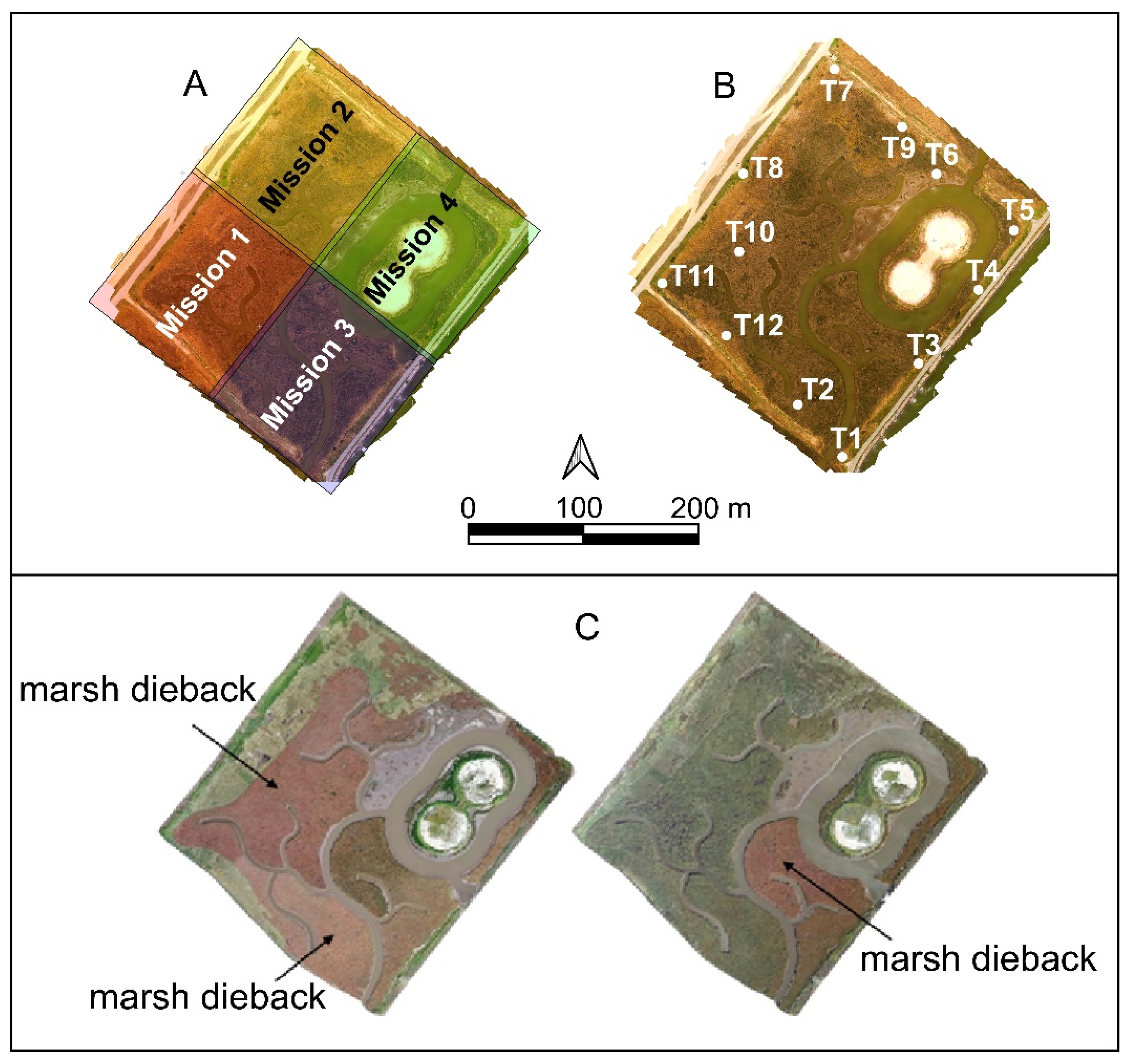 Remotesensing 13 04207 g004