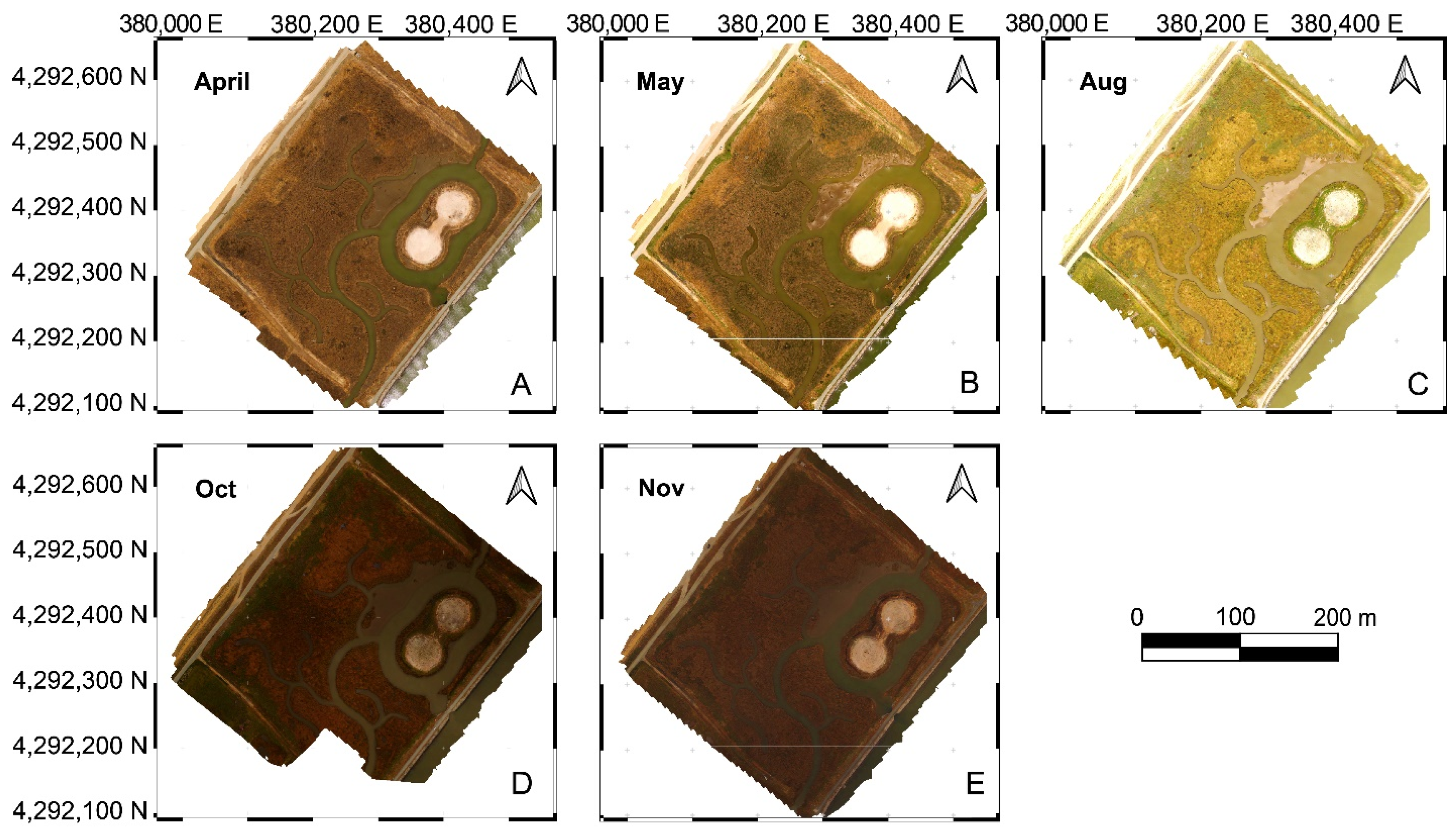 Remotesensing 13 04207 g006