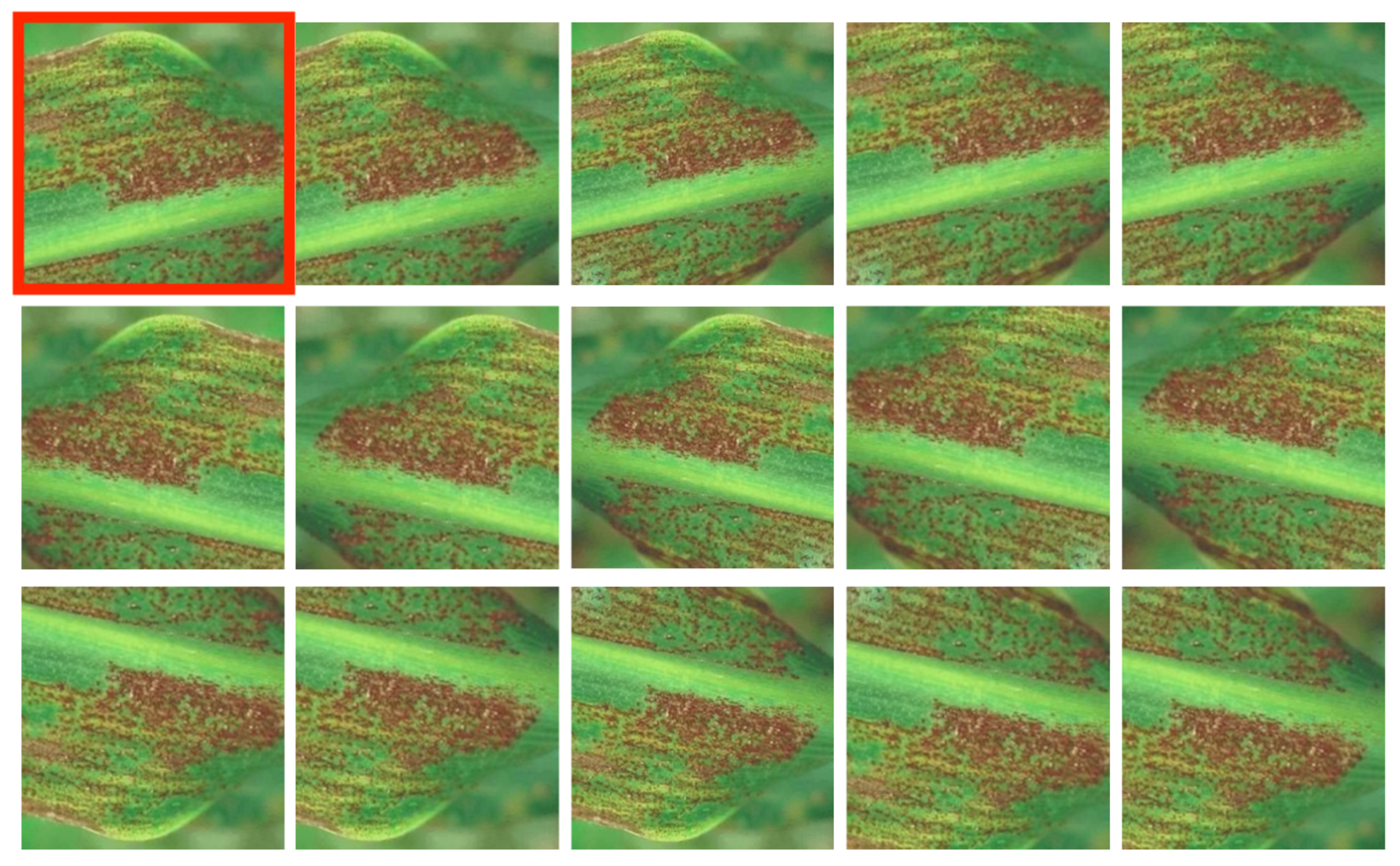 Remotesensing 13 04218 g005