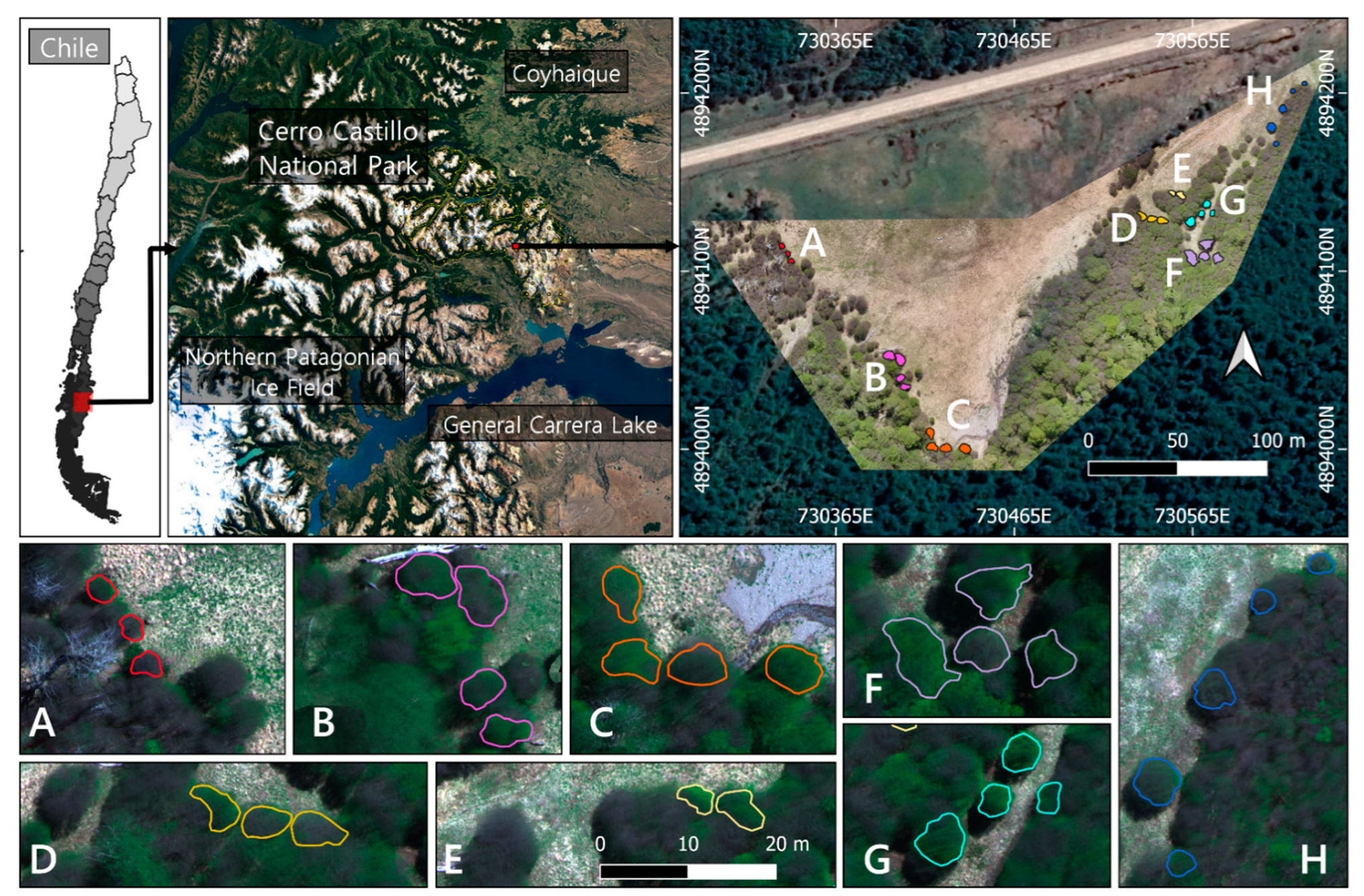 Remotesensing 13 04232 g001