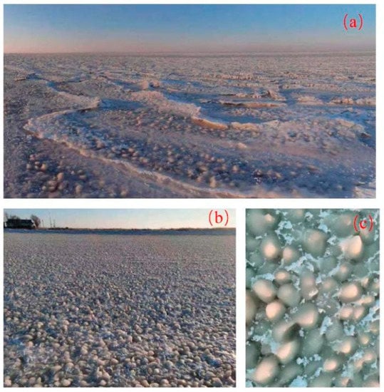 Remotesensing 13 04233 g0a1 550