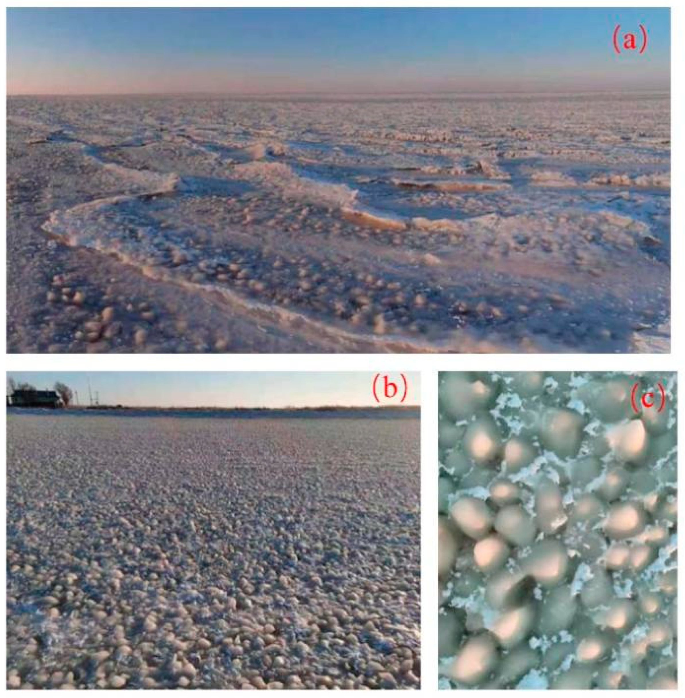 Remotesensing 13 04233 g0a1