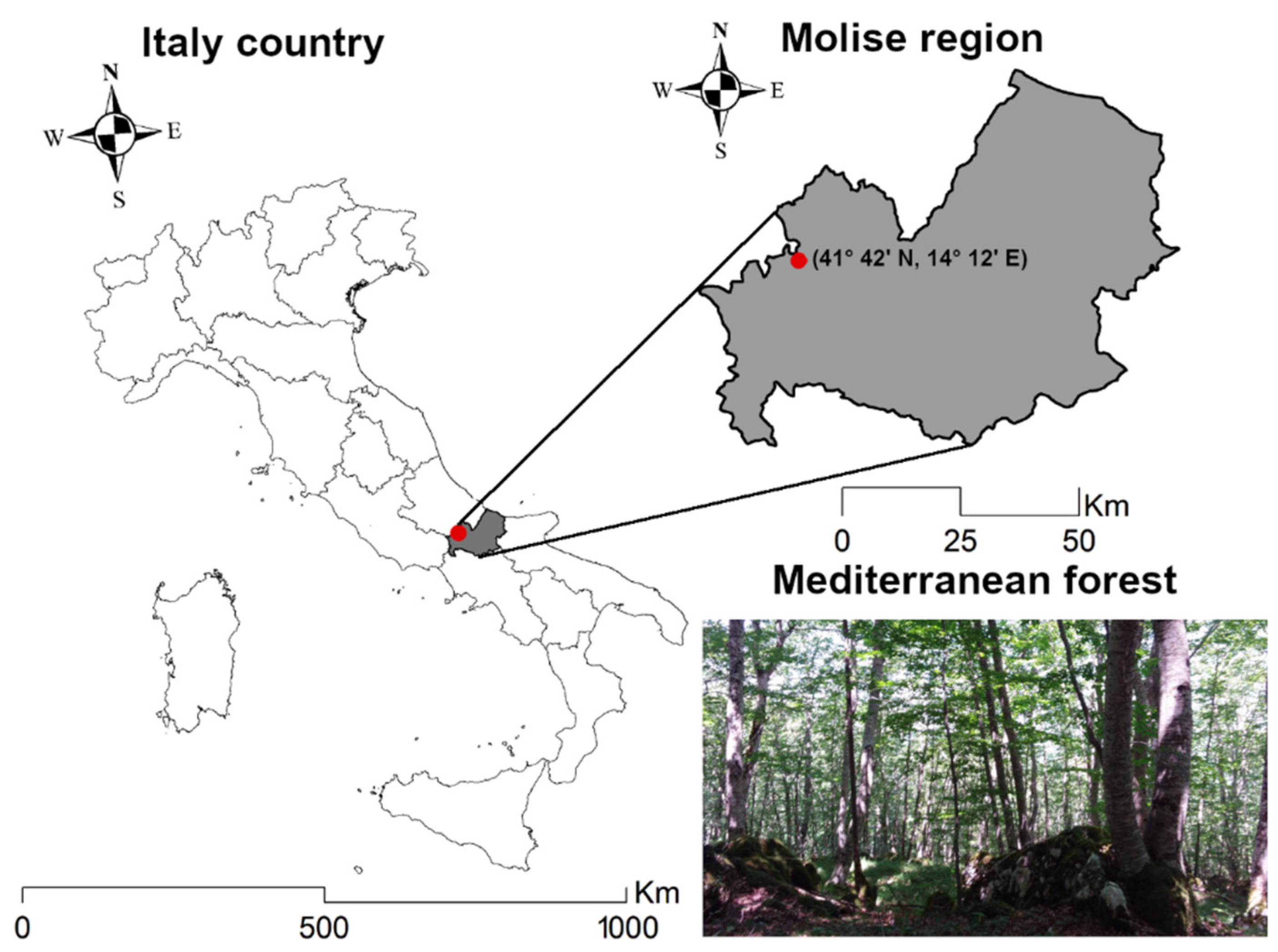 Remotesensing 13 04265 g001