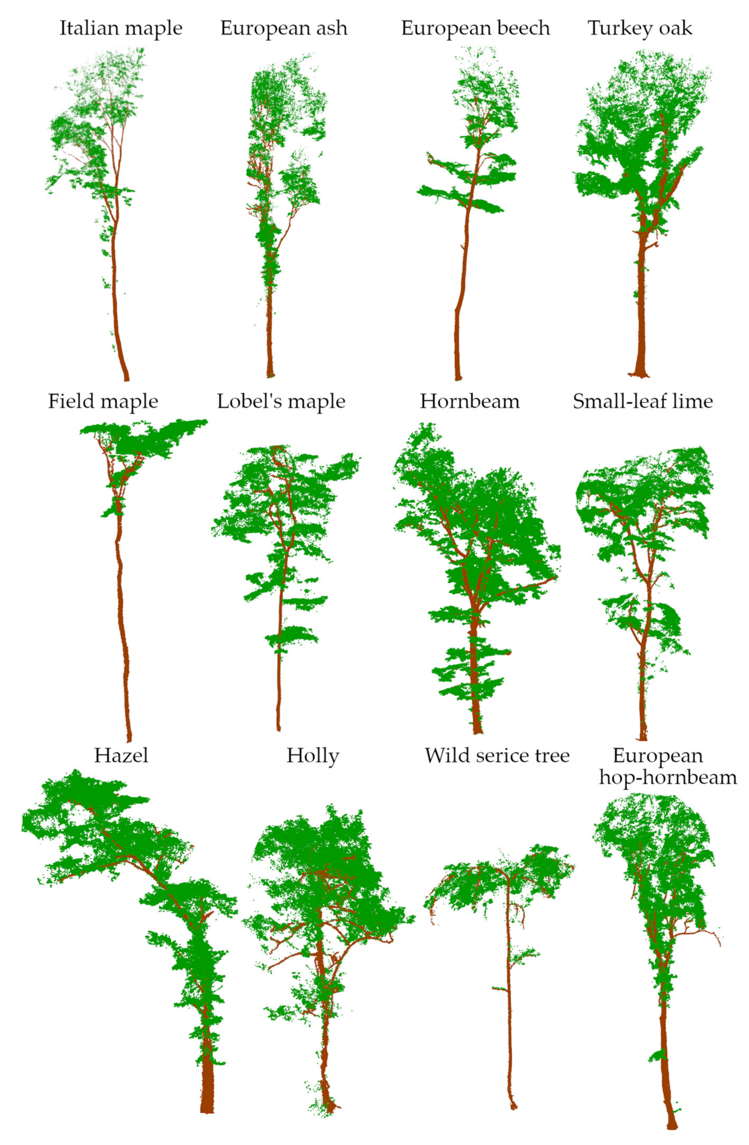 Remotesensing 13 04265 g006