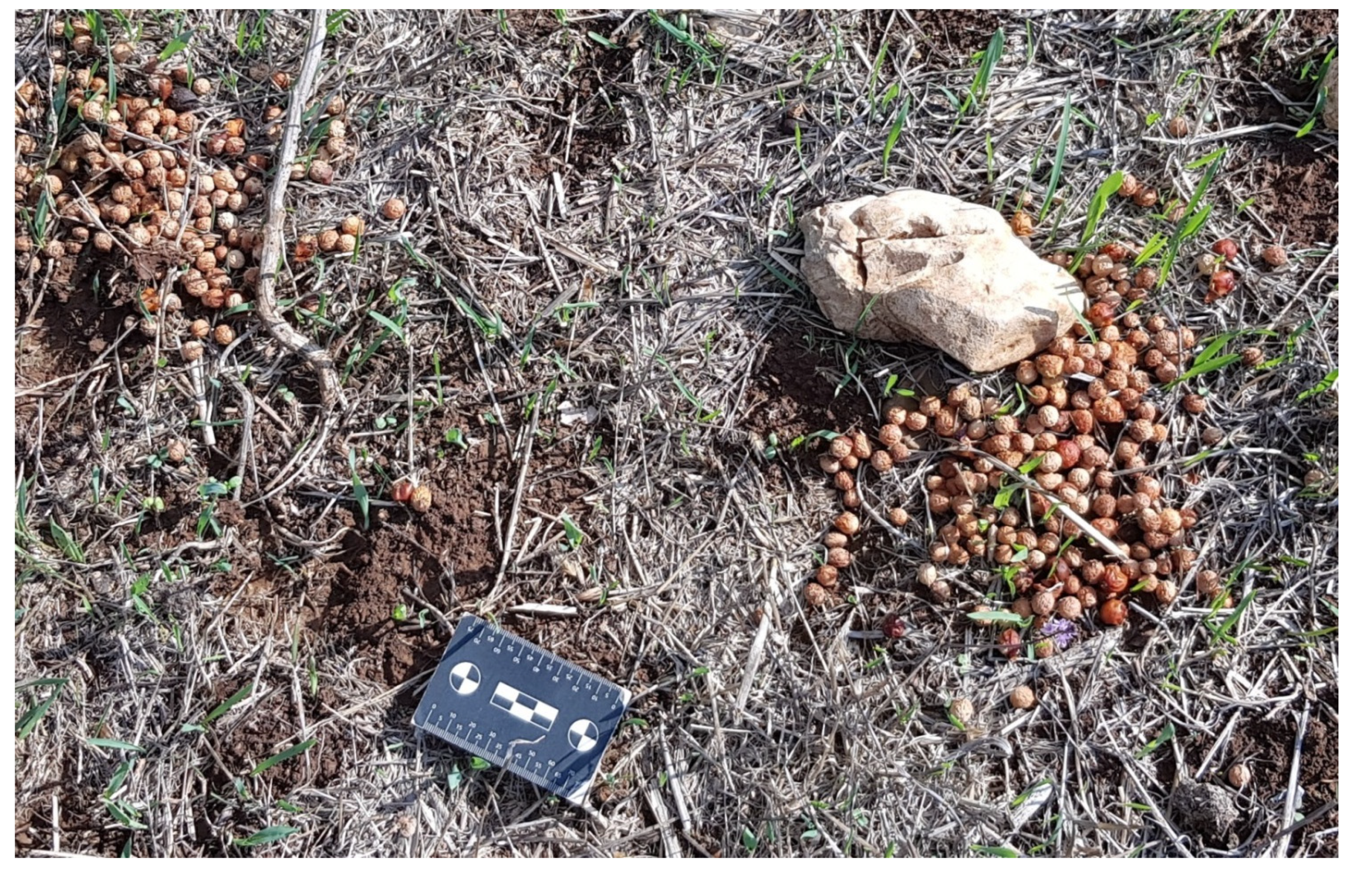 Remotesensing 13 04279 g001