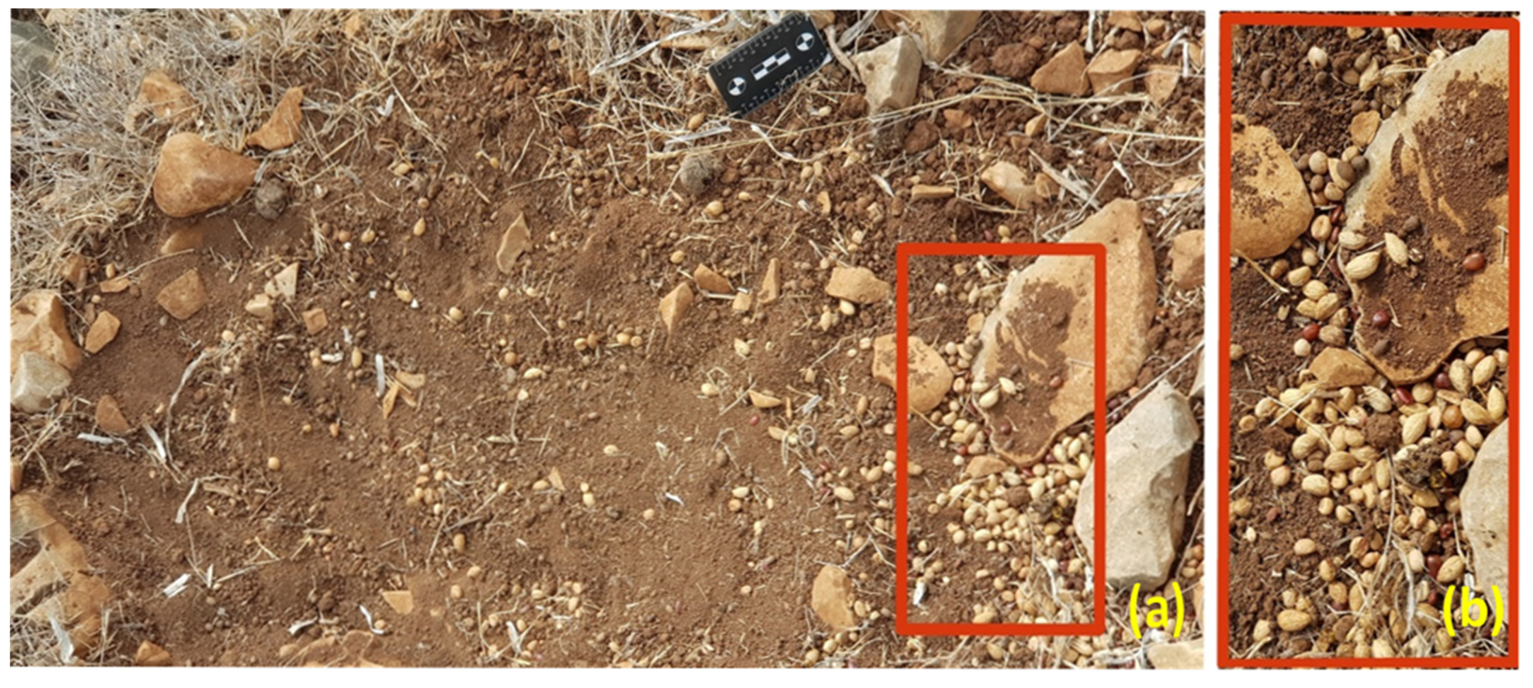 Remotesensing 13 04279 g002