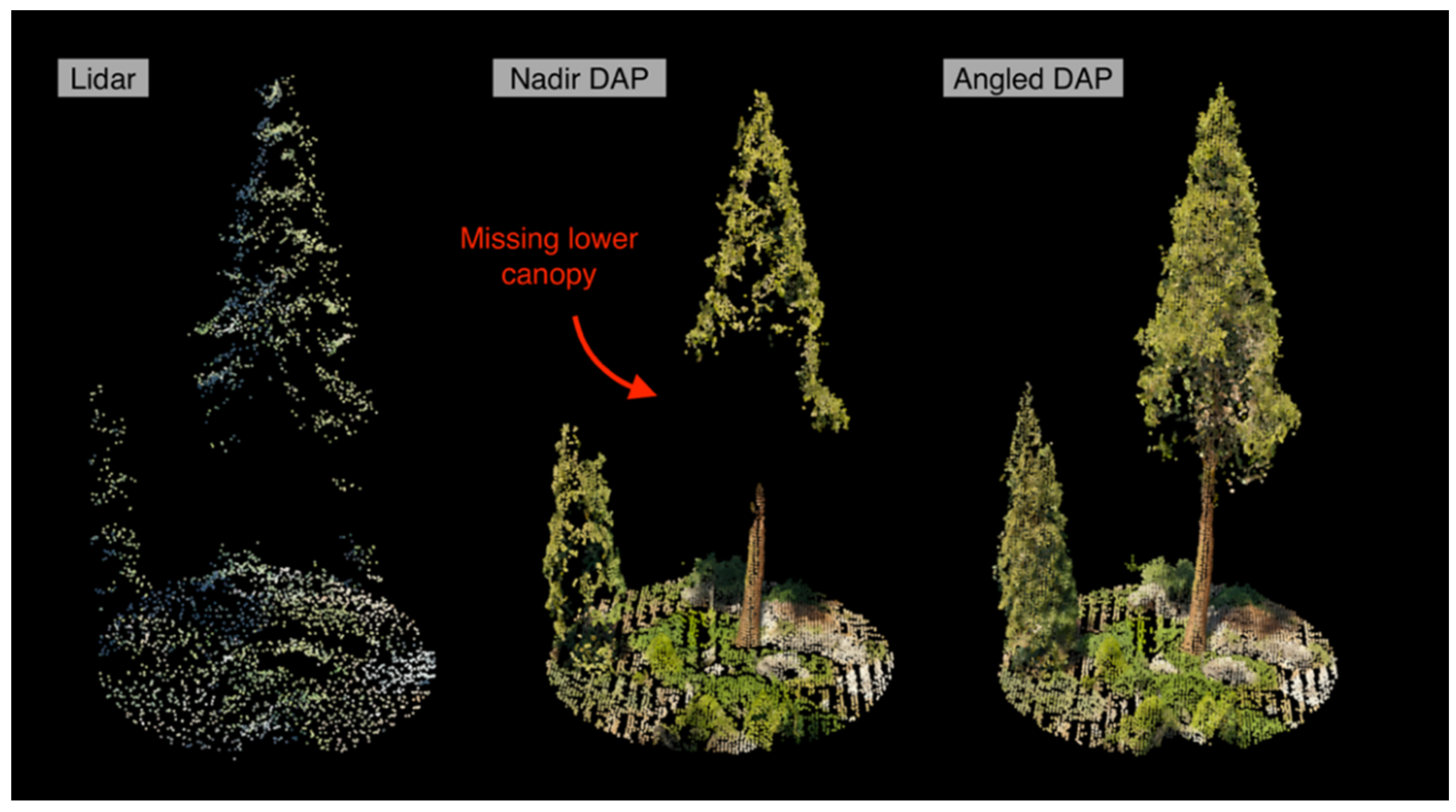 Remotesensing 13 04292 g001