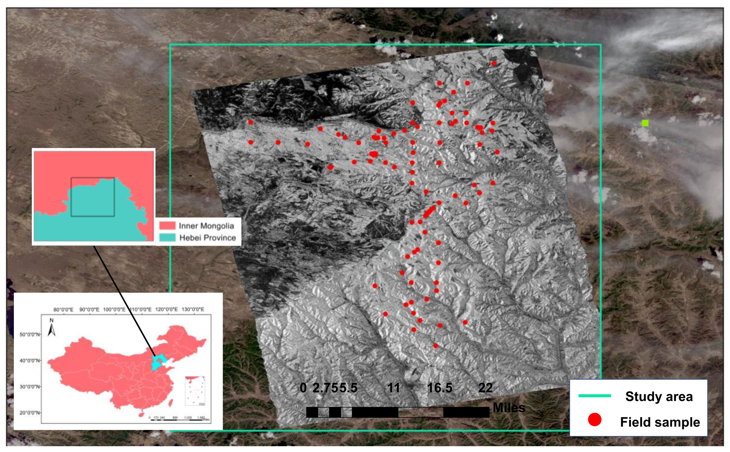 Remotesensing 13 04306 g001