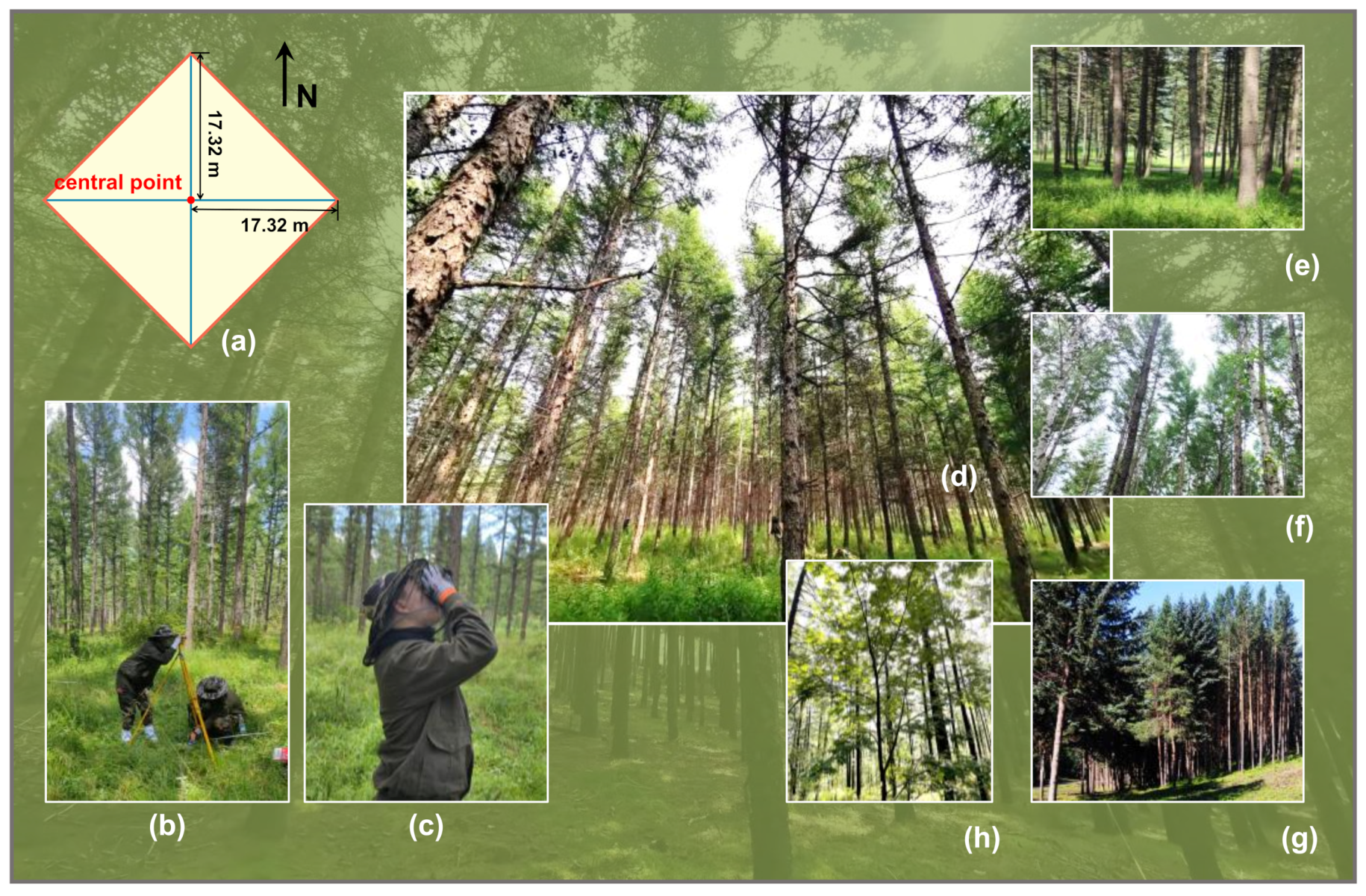 Remotesensing 13 04306 g002