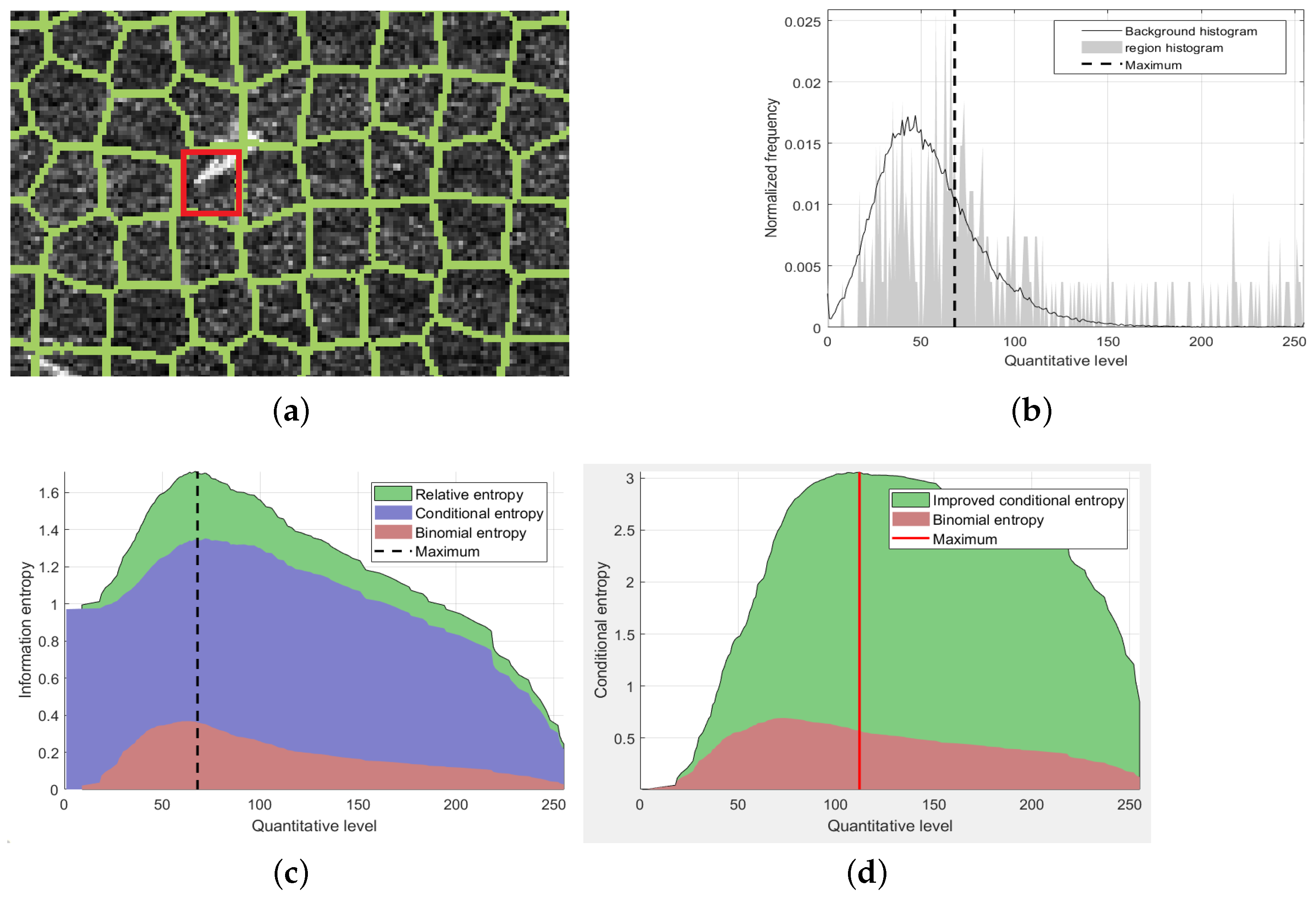 Remotesensing 13 04315 g002