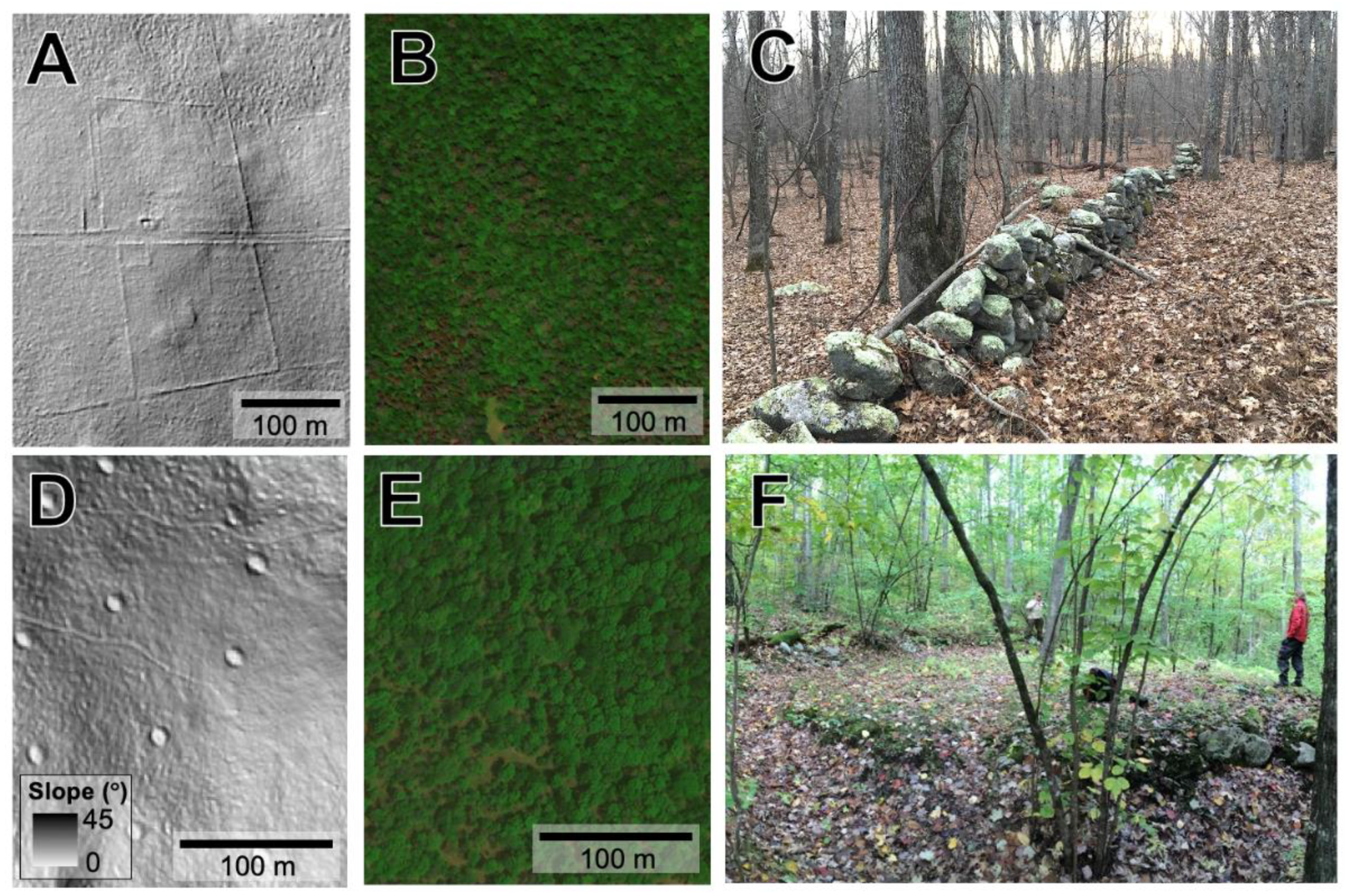 Remotesensing 13 04318 g002