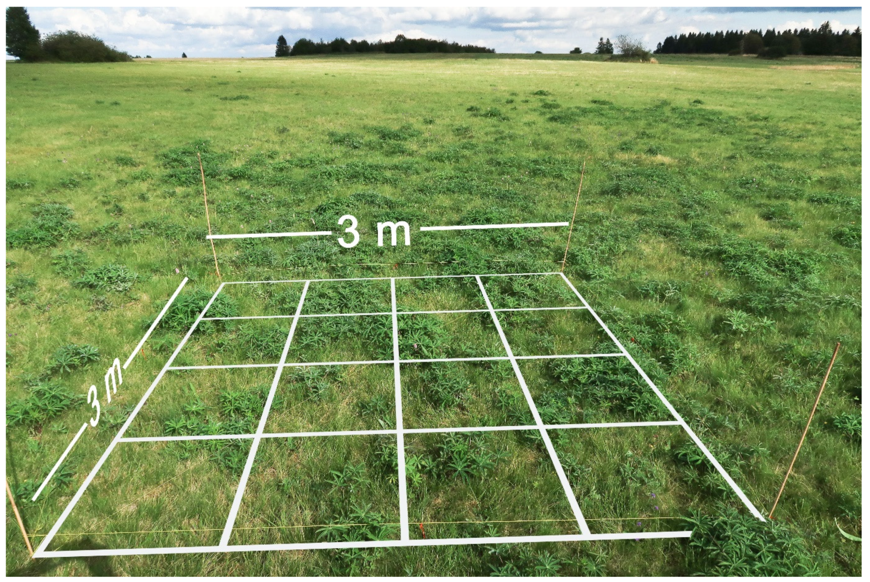 Remotesensing 13 04333 g002