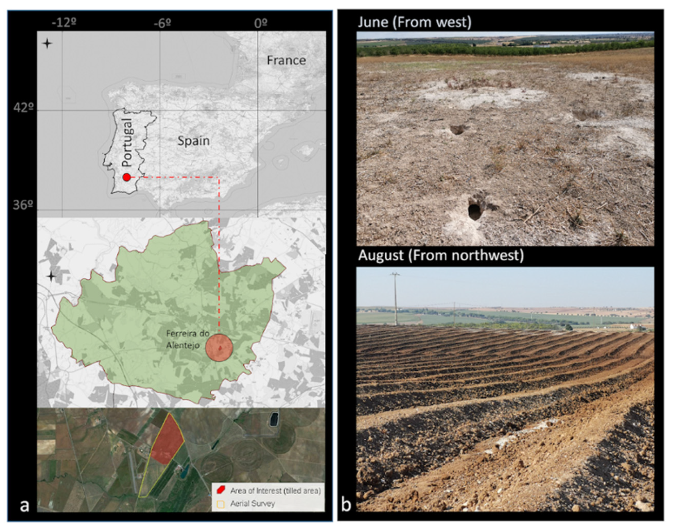 Remotesensing 13 04336 g002