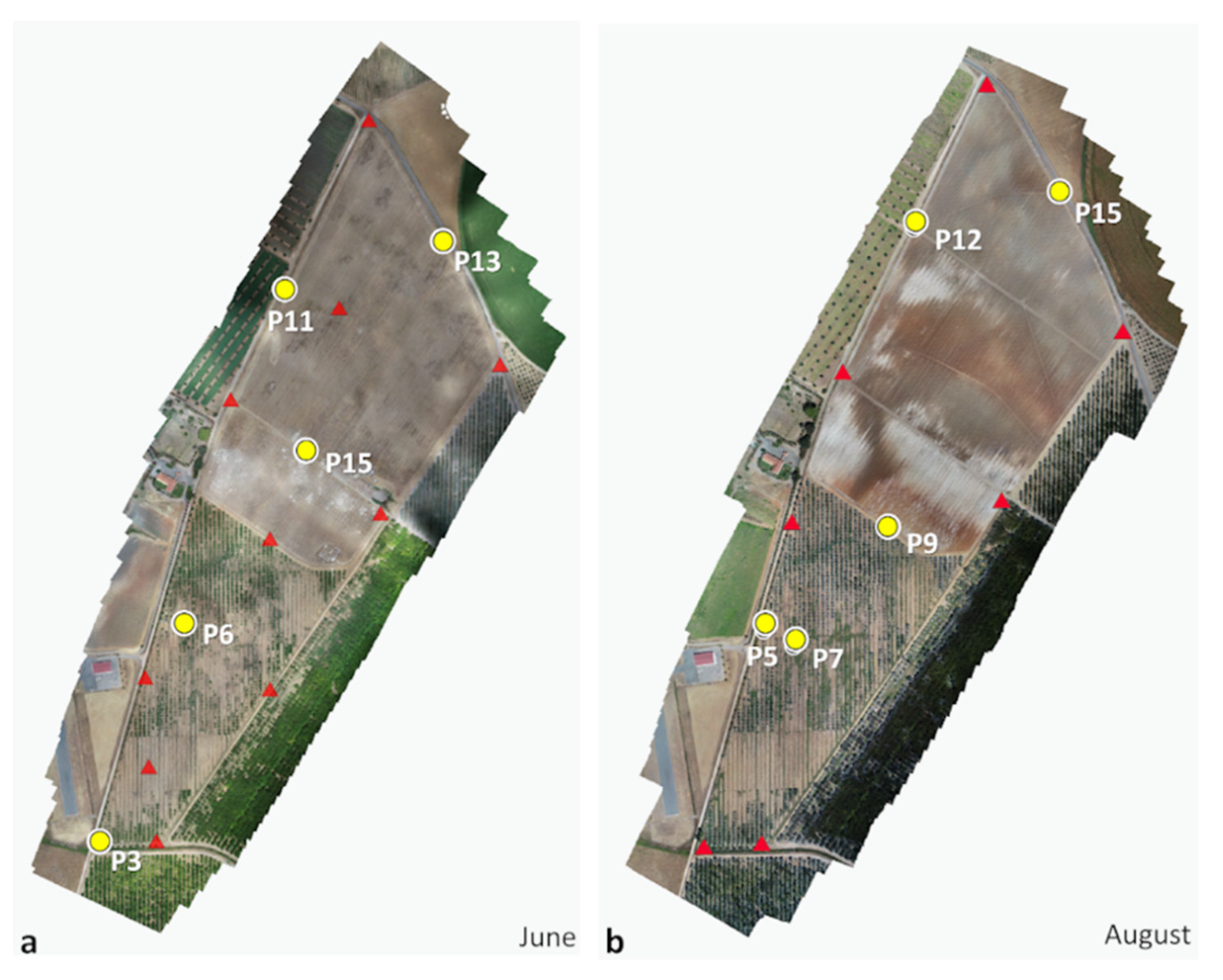 Remotesensing 13 04336 g009