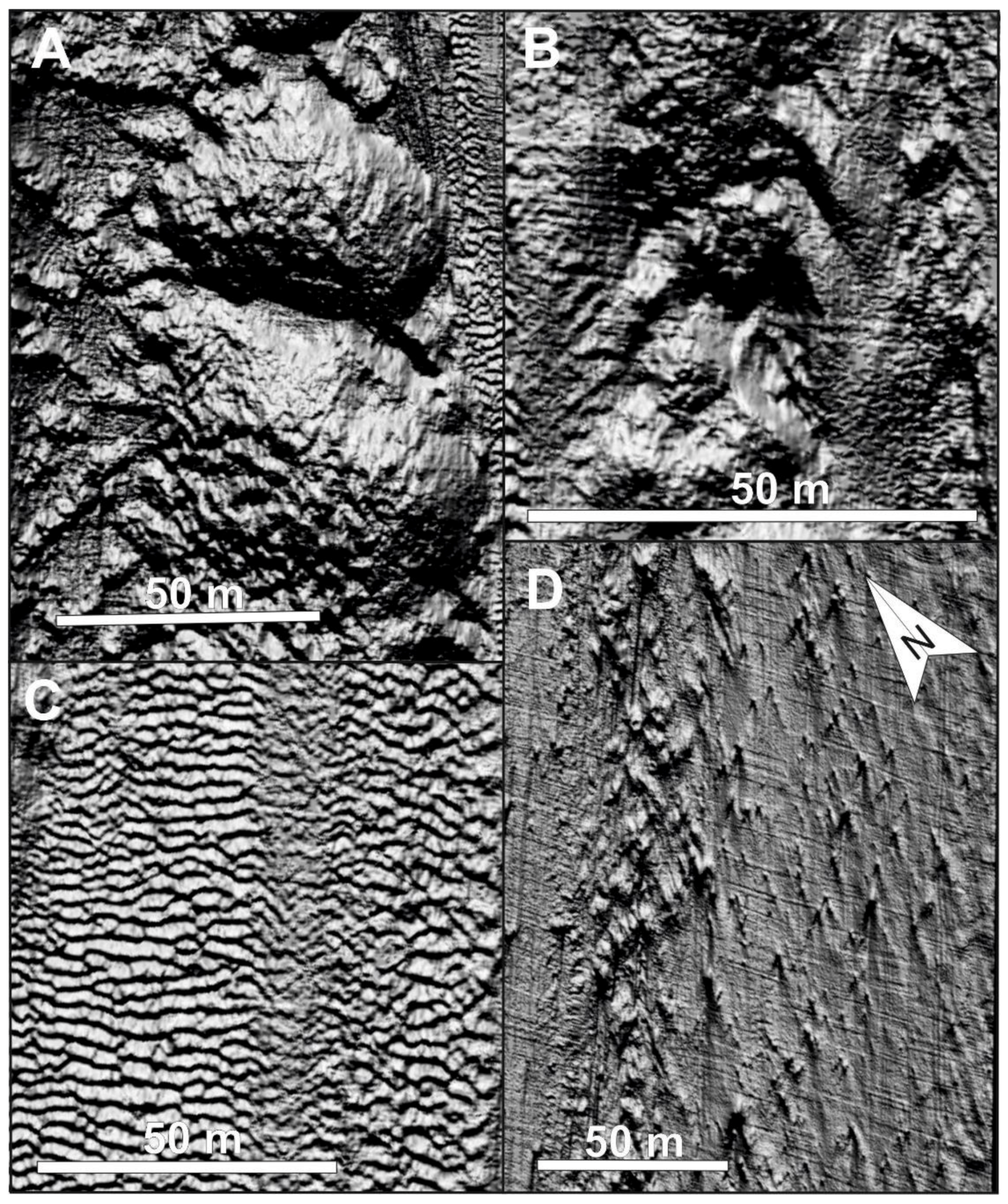Remotesensing 13 04364 g006