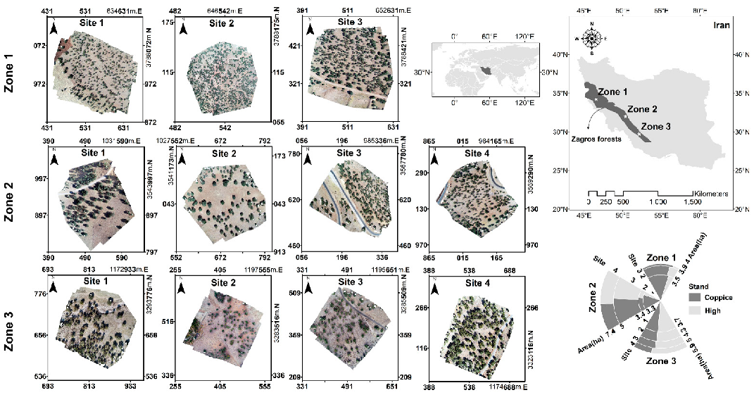 Remotesensing 13 04367 g001