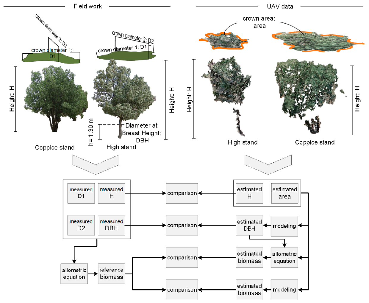 Remotesensing 13 04367 g002