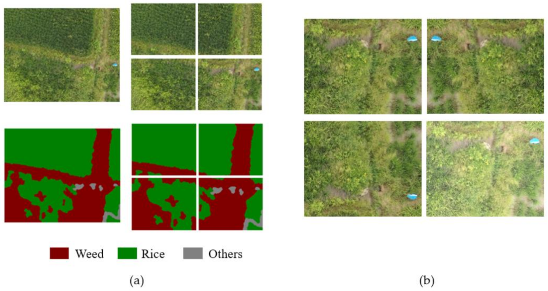 Remotesensing 13 04370 g004