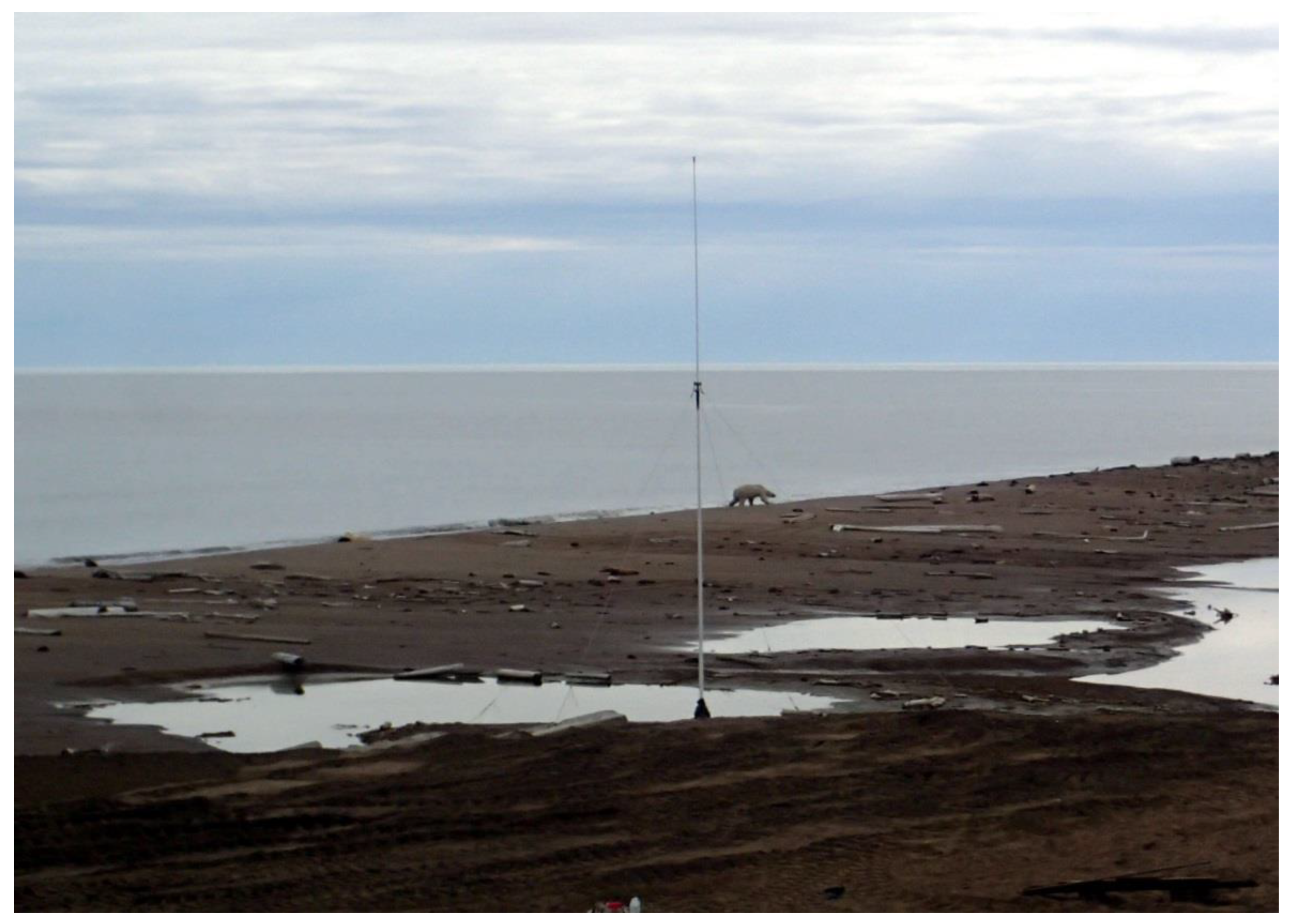 Remotesensing 13 04398 g011