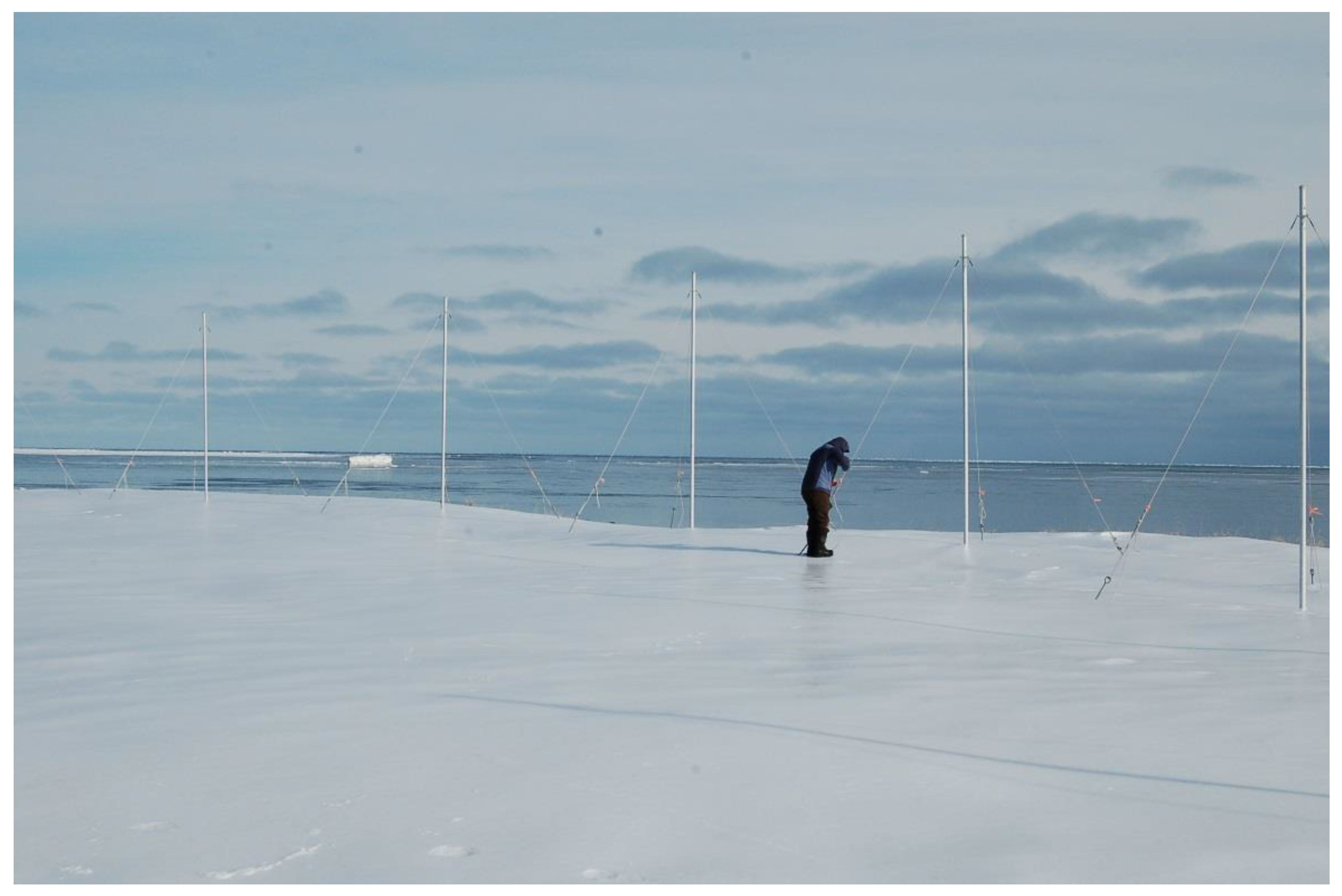 Remotesensing 13 04398 g014