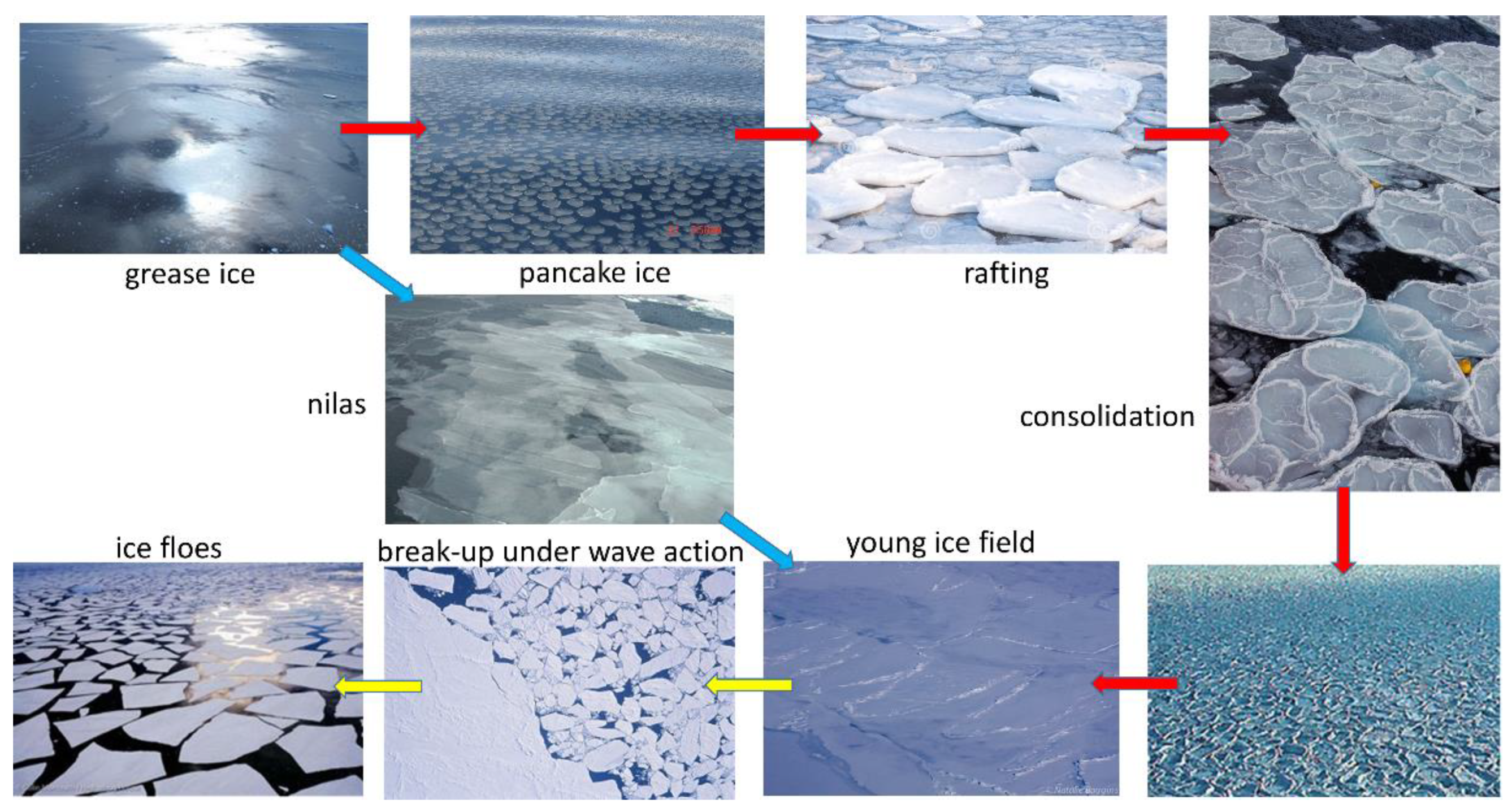 Remotesensing 13 04398 g015