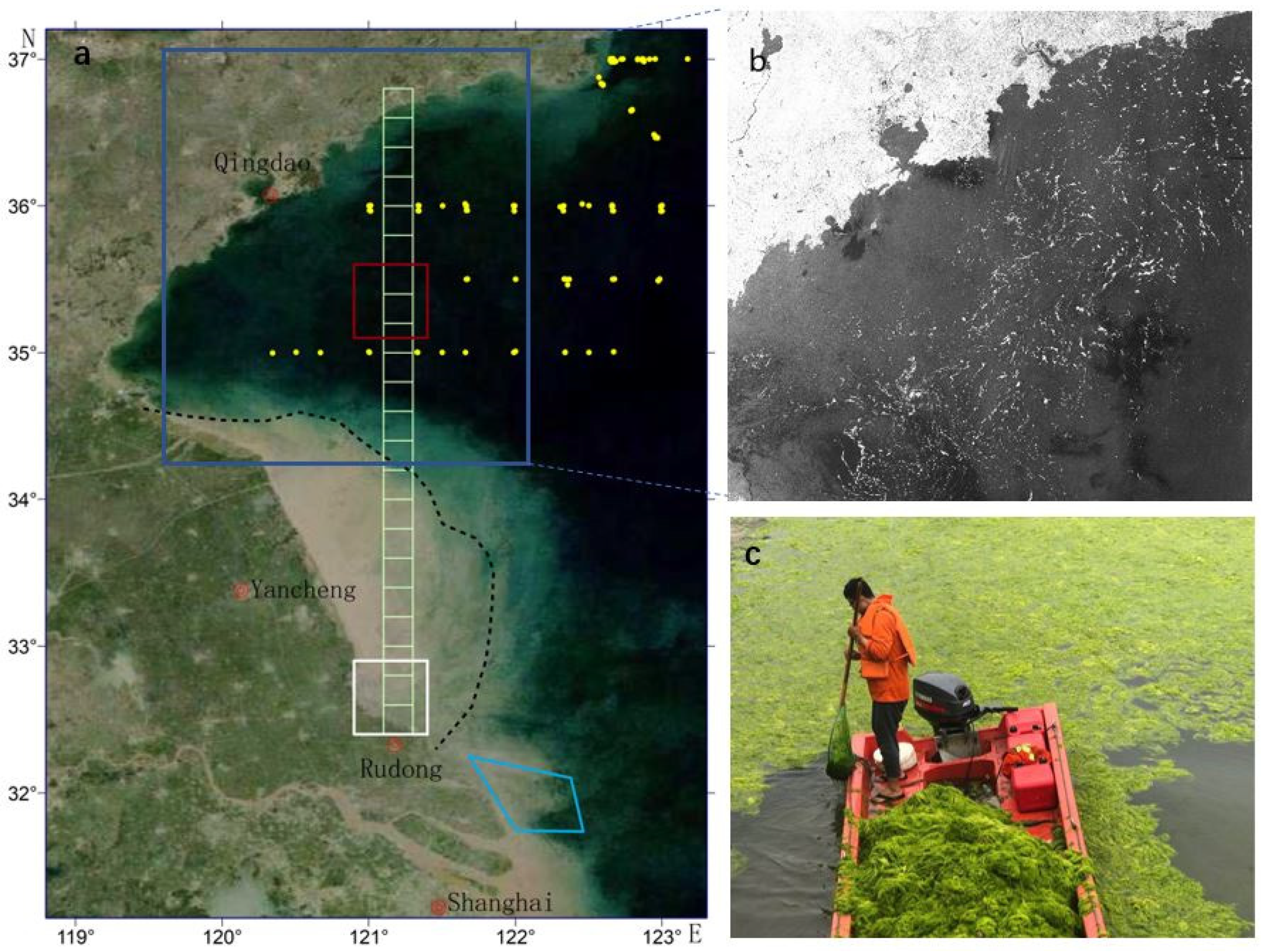 Remotesensing 13 04406 g001