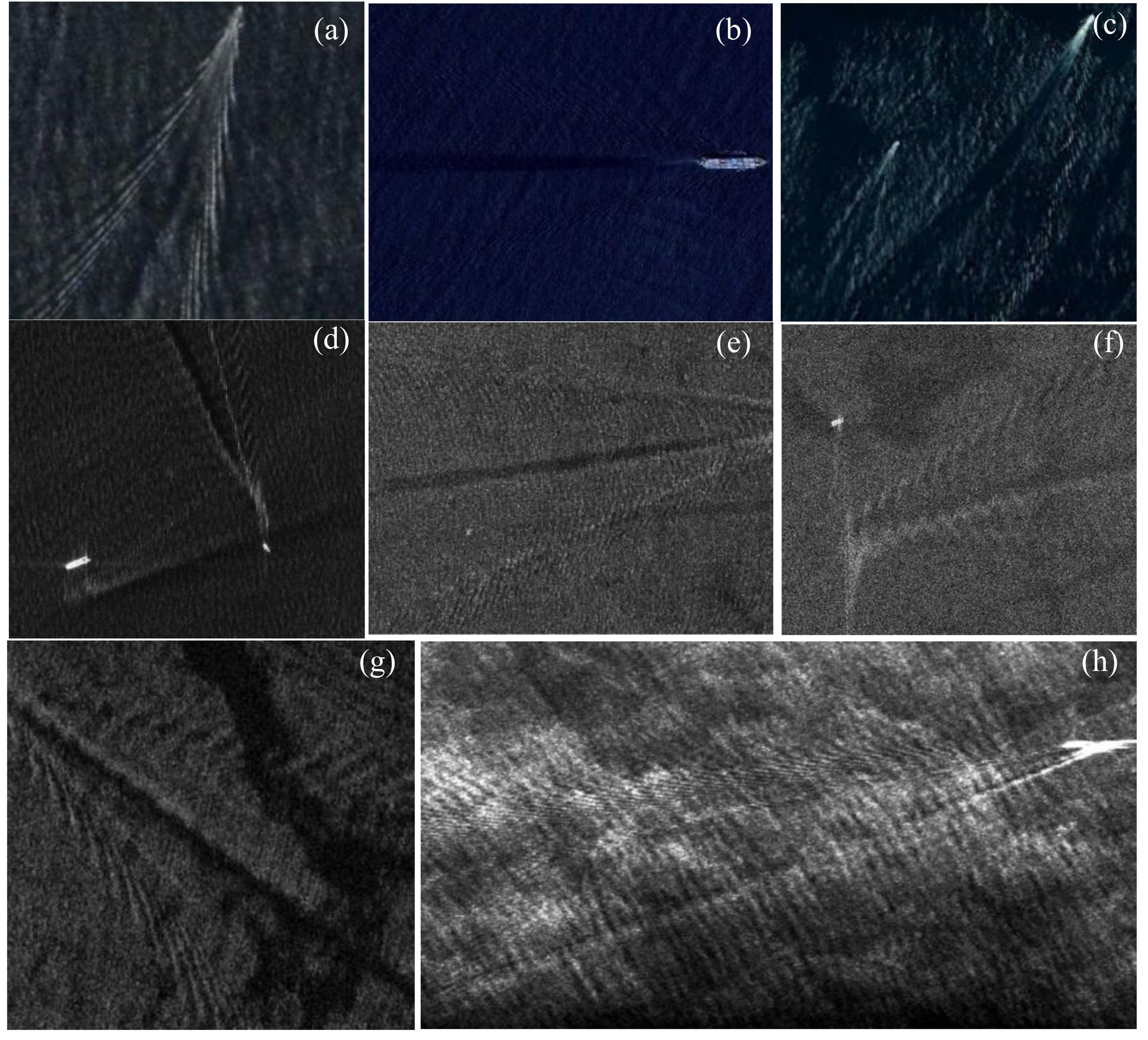 Remotesensing 13 04417 g001