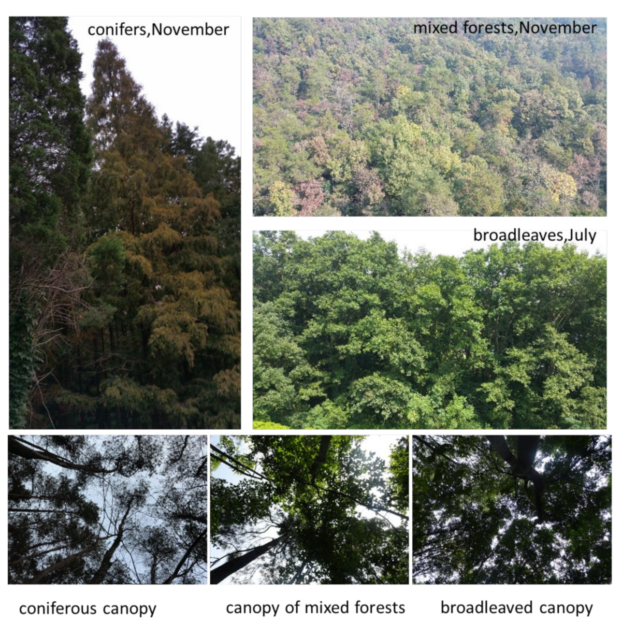 Remotesensing 13 04426 g002